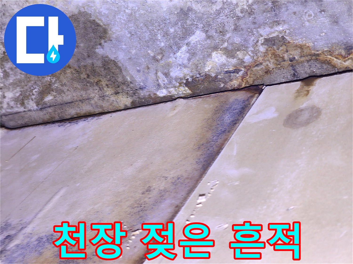콘크리트 벽면-습기로 인해 얼룩진 천장 내부 상황