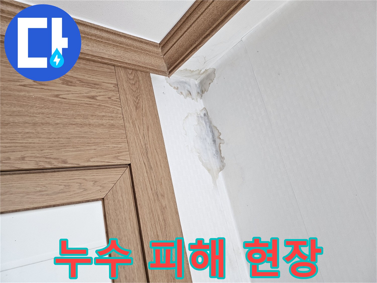 물에 젖어-변색된 벽지와-천장 모서리의-누수 흔적을-담은 사진.