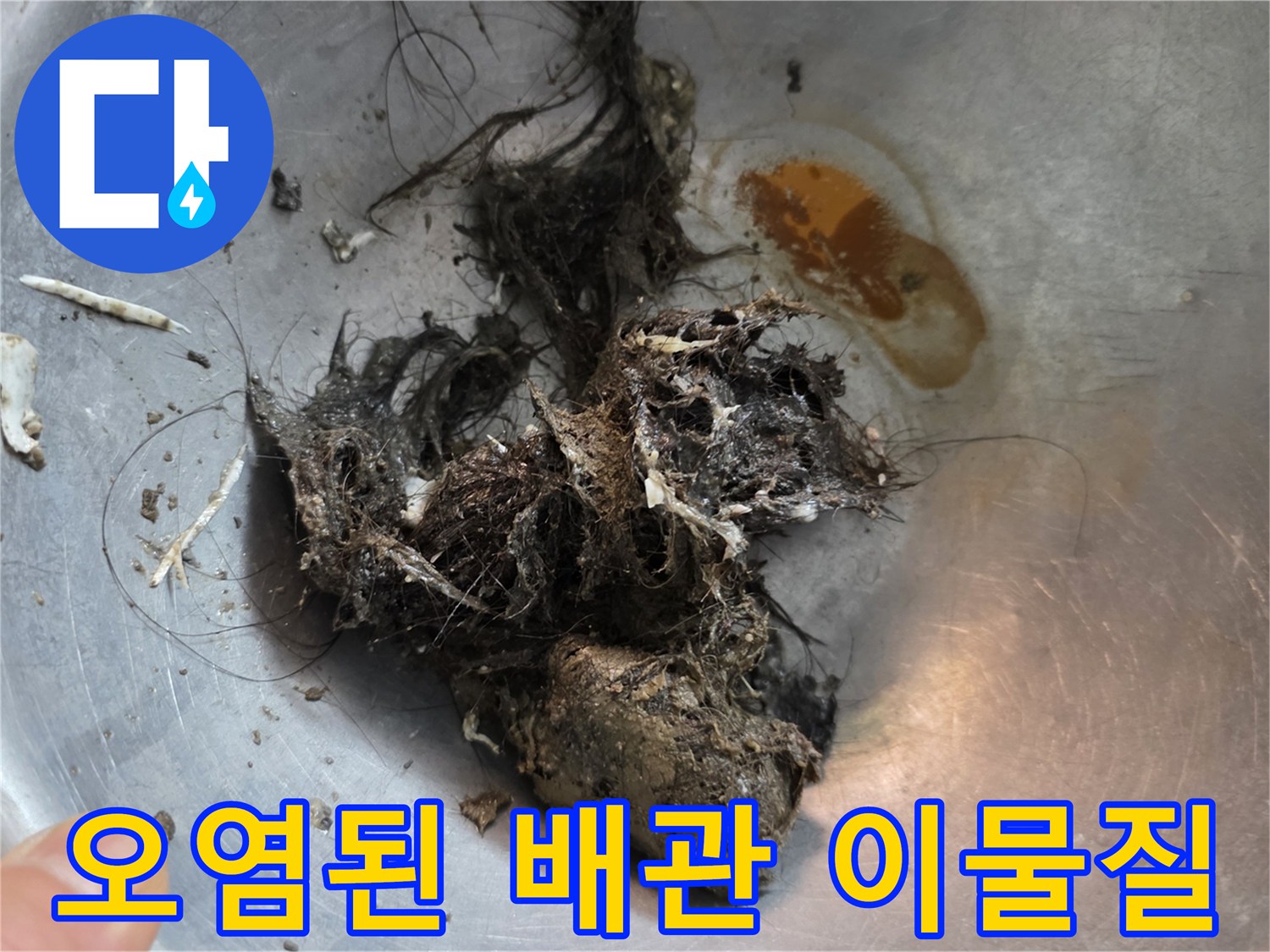 배수관 내부에서 발견된 머리카락 뭉치와 슬러지