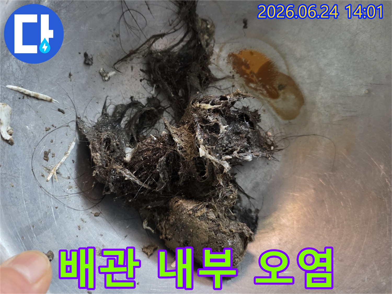 하수구-역류-해결을-위해-제거된-배관-내부의-고착된-머리카락-비누-찌꺼기