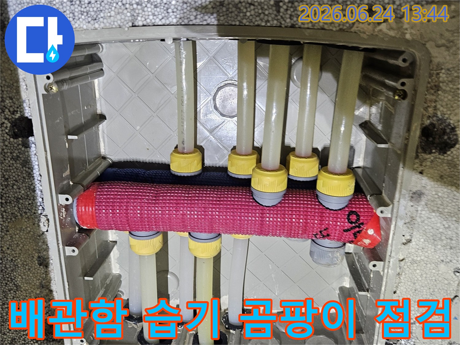 동탄 아파트 누수 현장에서-배관함 내부의 습기나 곰팡이 발생 여부를-저희 엔지니어가 꼼꼼히 점검하고 있습니다.
