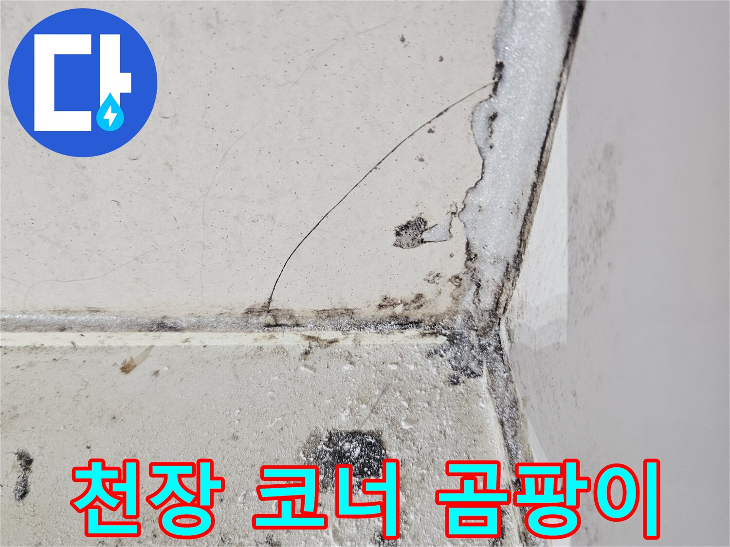 습기로 인해 발생한 - 화장실 천장 모서리 곰팡이와 변색 부위