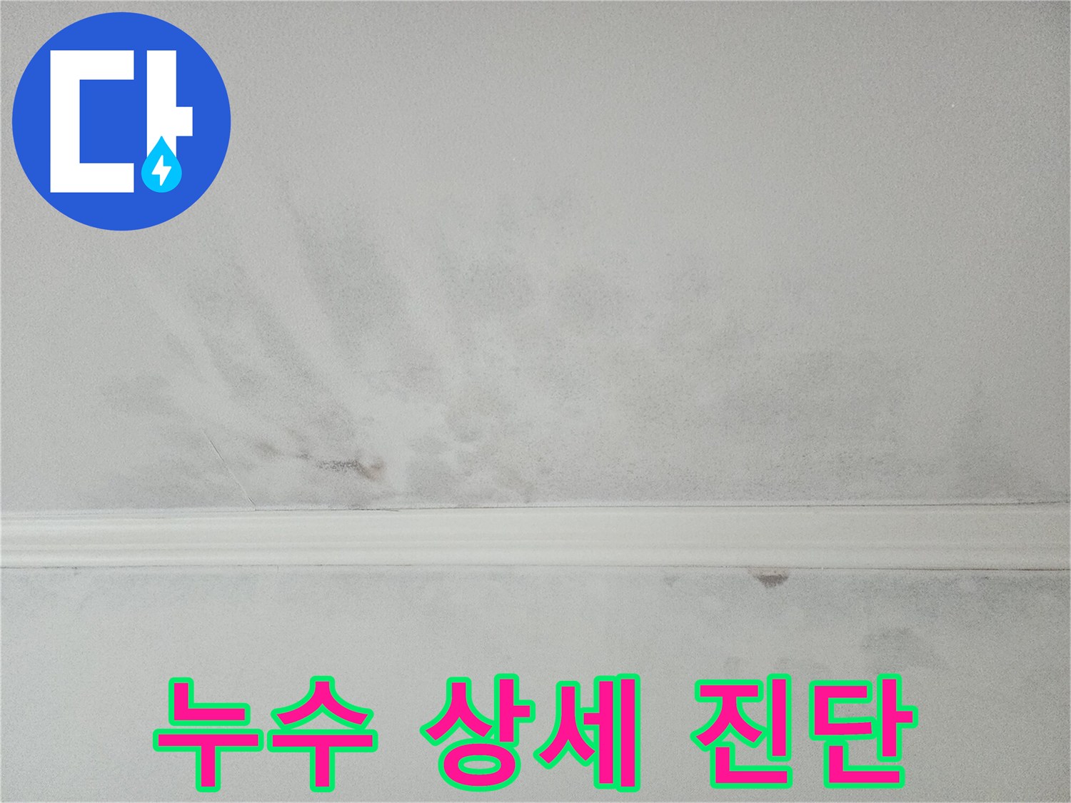 천장 누수 흔적 외에 숨겨진 문제까지-전문가가 상세하게 진단합니다
