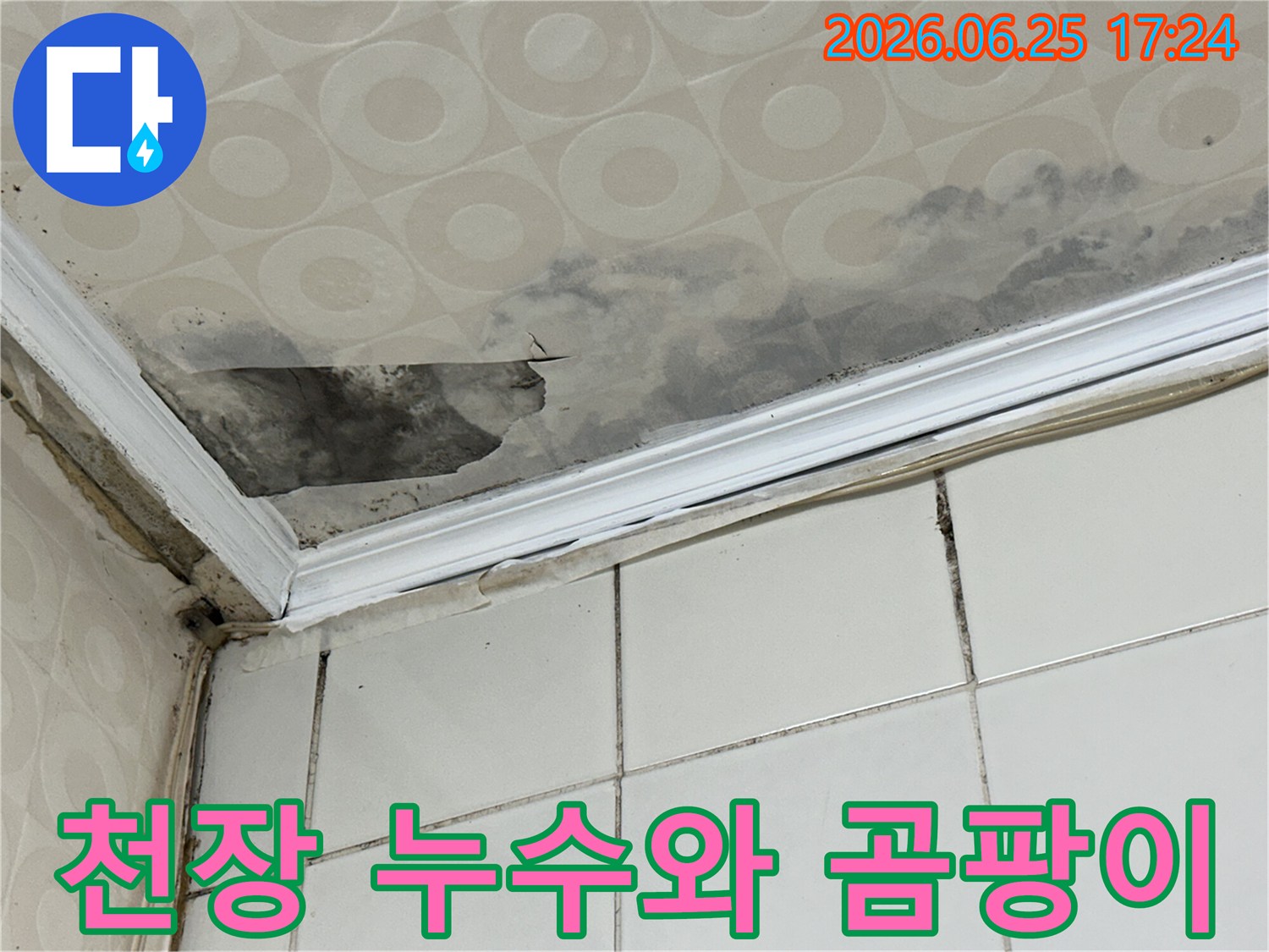 물이-새면서-천장-표면이-울퉁불퉁해지고-곰팡이가-번식한-현장을-누수-전문가가-정밀-탐지하여-해결합니다