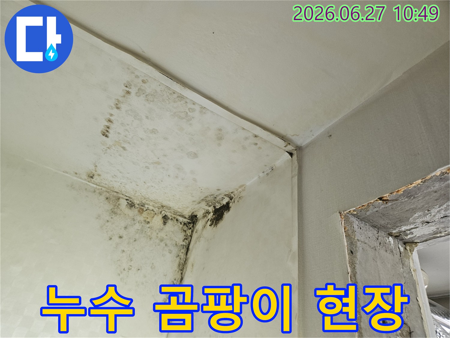 벽과 천장 모서리에 광범위하게 퍼진 검은 곰팡이 얼룩이 찍힌 사진입니다-이는 물이 새거나 결로 현상으로 인해 발생한 심각한 습기 문제를 시사합니다.