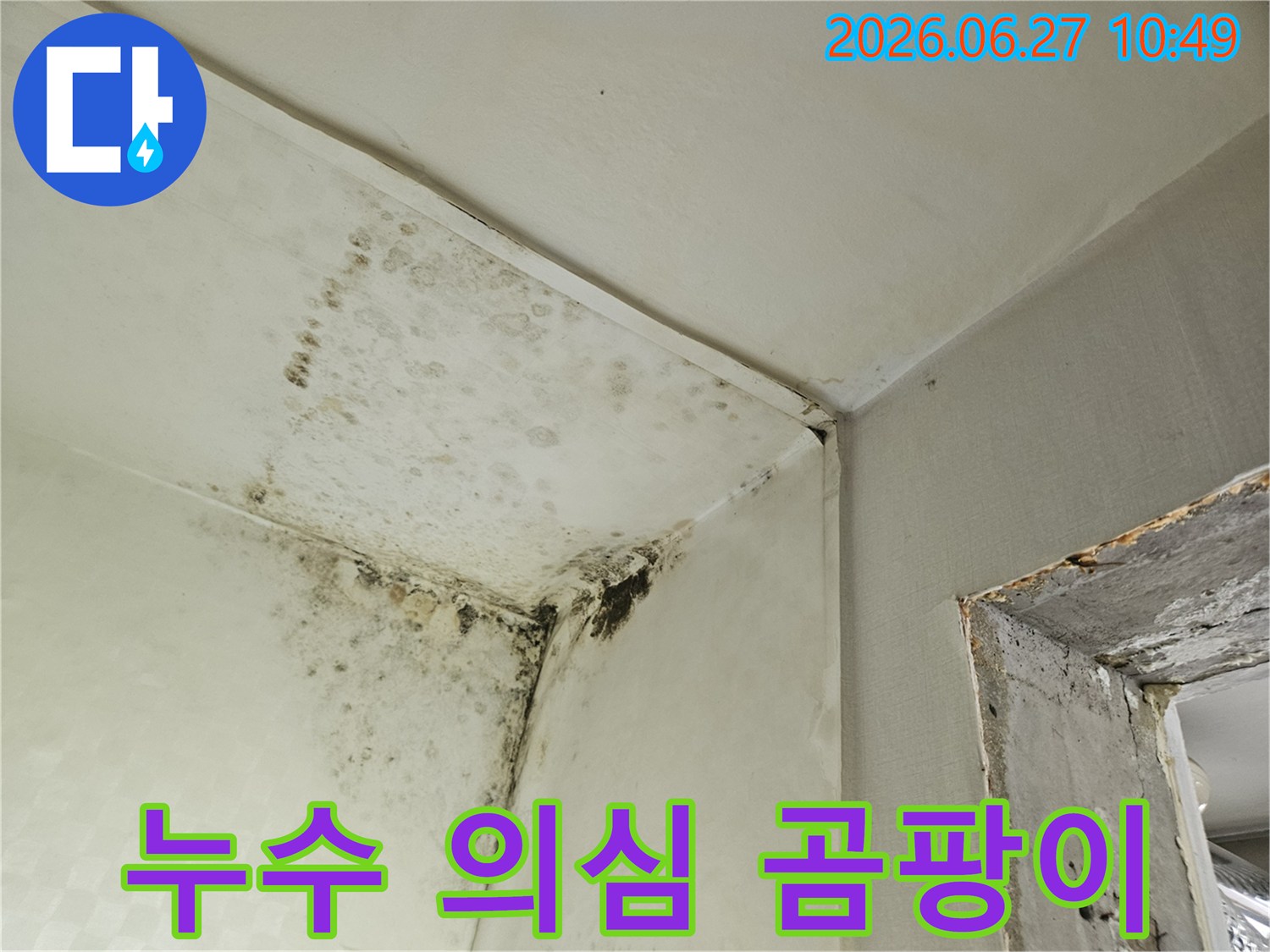벽과 천장 모서리에 광범위하게 퍼진 검은 곰팡이 얼룩이 찍힌 사진입니다-이는 물이 새거나 결로 현상으로 인해 발생한 심각한 습기 문제를 시사합니다.