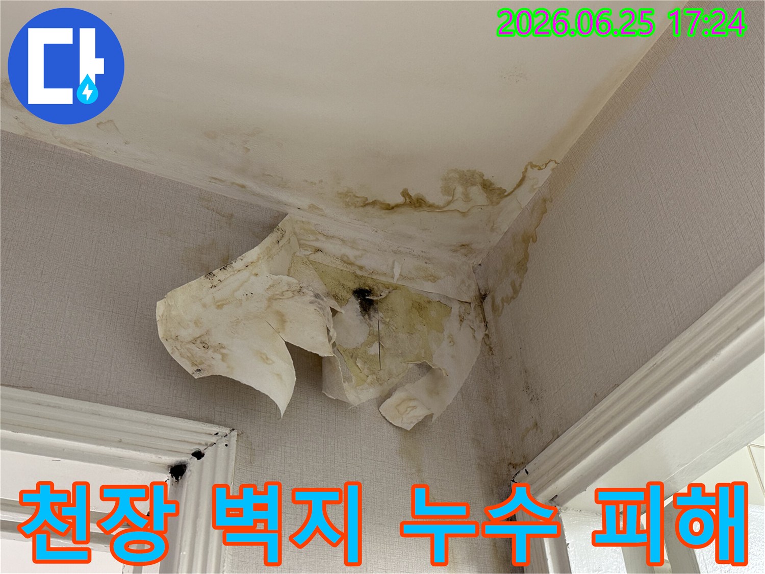 아파트 내부-천장 모서리에서-발견된 누수 흔적으로-벽지가 벗겨지고-얼룩이 진 상태를-담고 있습니다