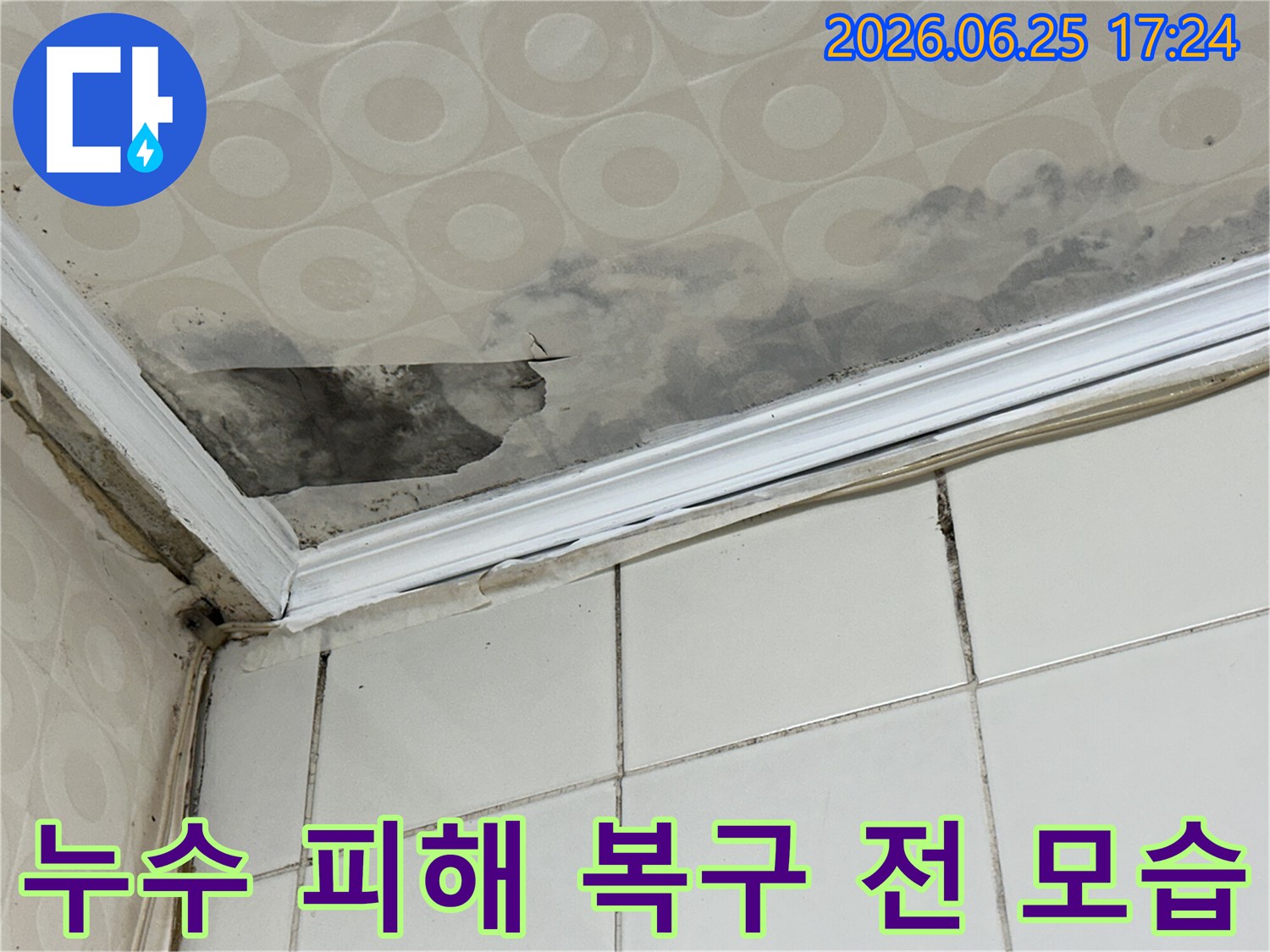 아파트-내부-천장에-발생한-누수-피해와-곰팡이-오염을-누수-탐지-전문가가-현장에서-직접-확인하고-있습니다