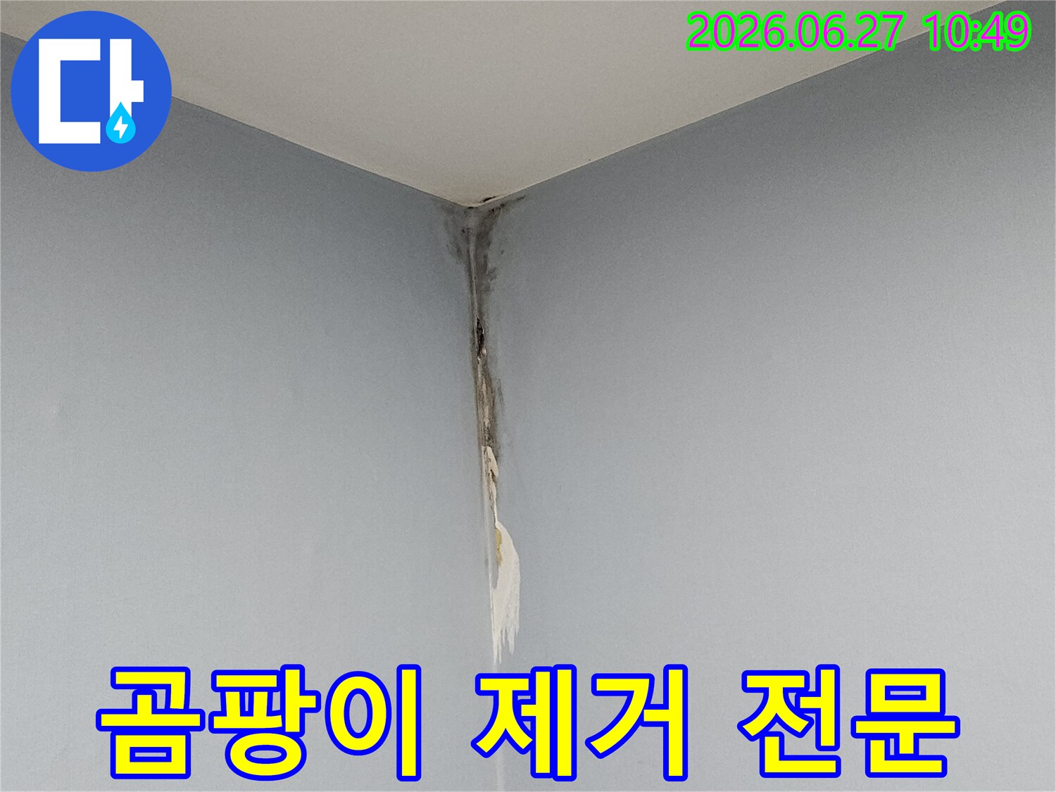 천장과 벽의 모서리 부근에 누수로 인한 벽지 변색과 곰팡이가 발생하여-전문적인 곰팡이 제거와 누수 보수가 필요한 현장 사진입니다.