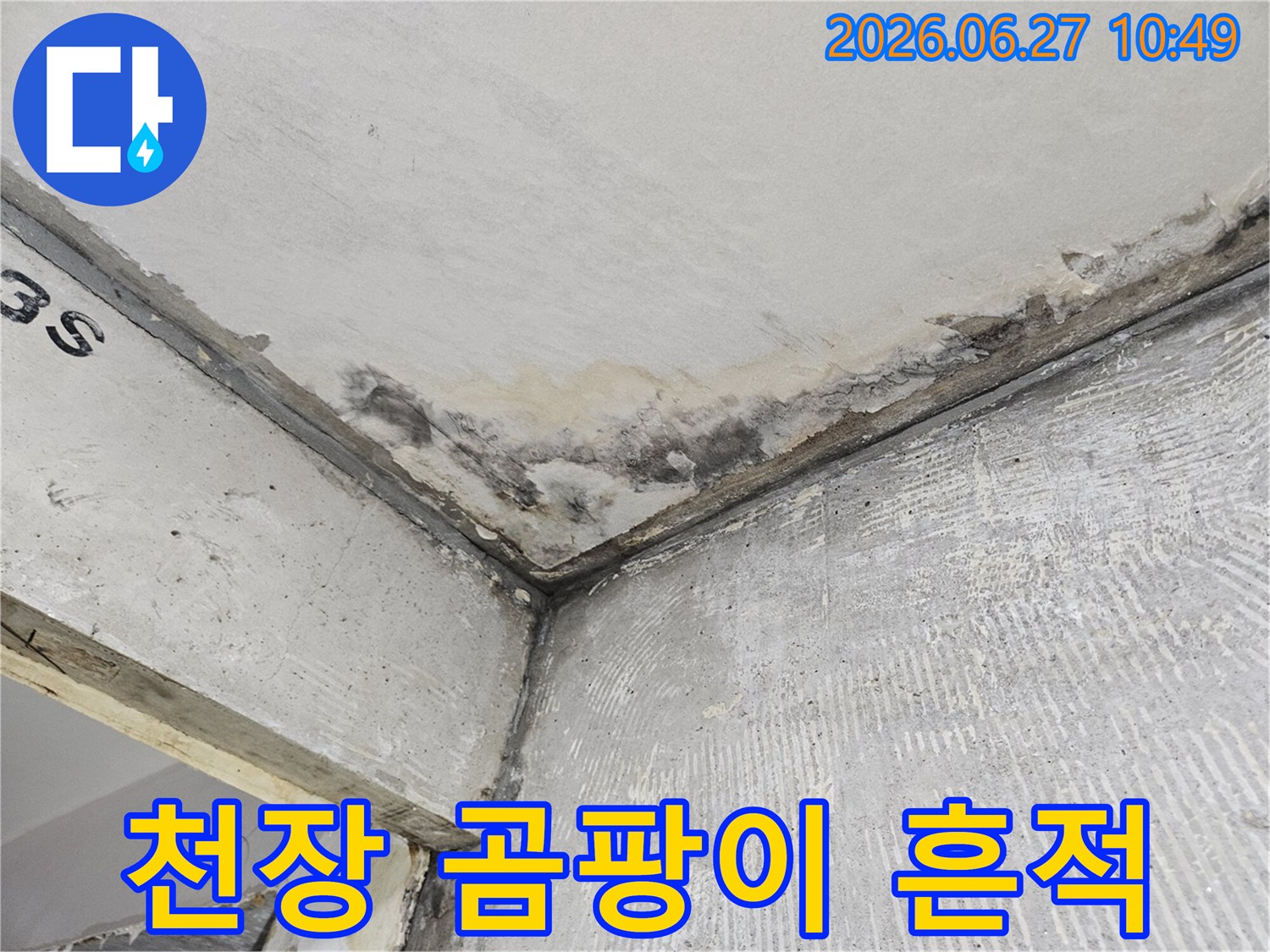콘크리트 벽면과 천장 모서리에-오래된 듯한 물샘 자국과-습기로 인한 곰팡이가 선명하게 나타나 있습니다