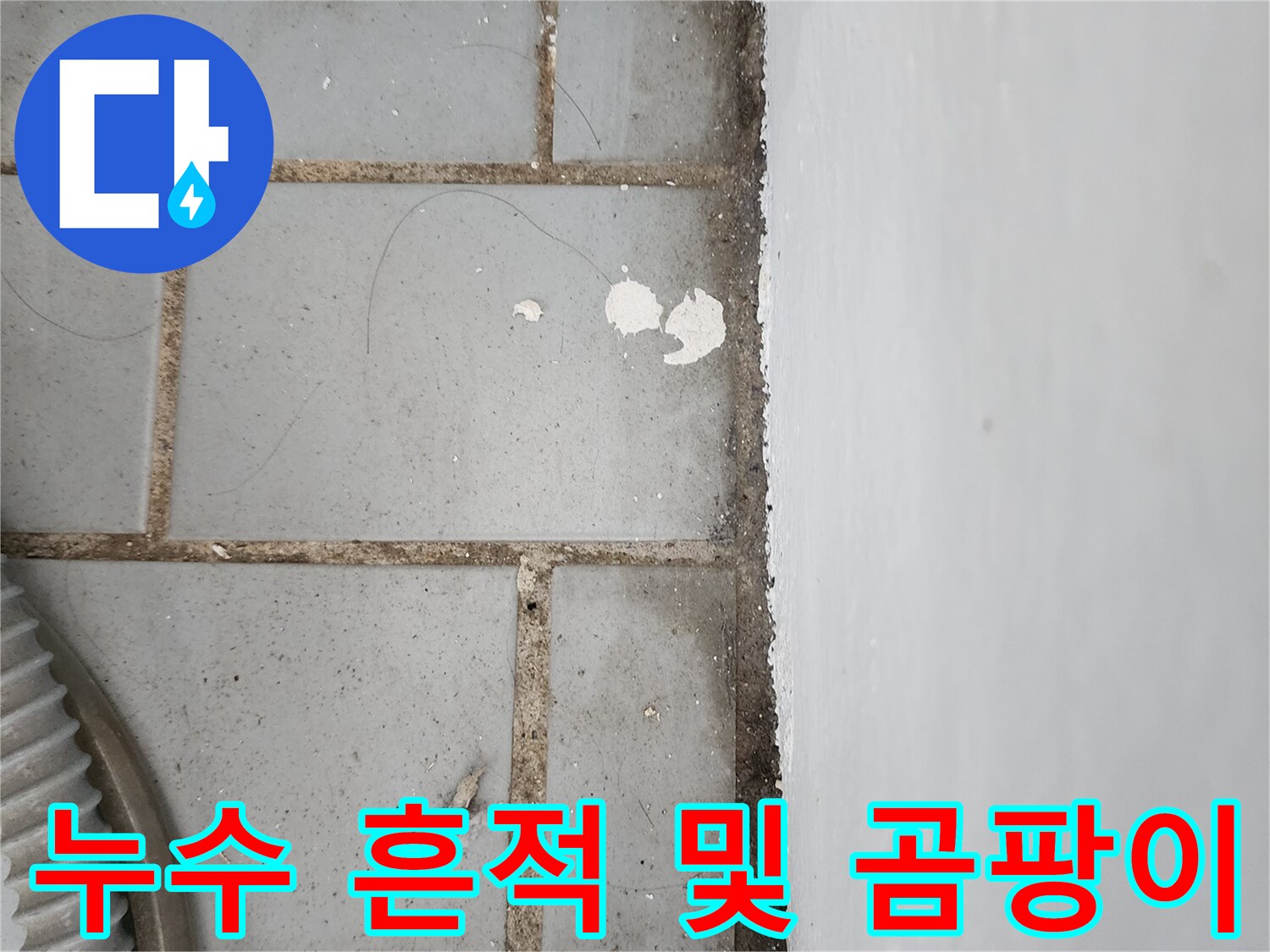 세탁실 타일 사이-습기로 인한 검은 곰팡이와 얼룩