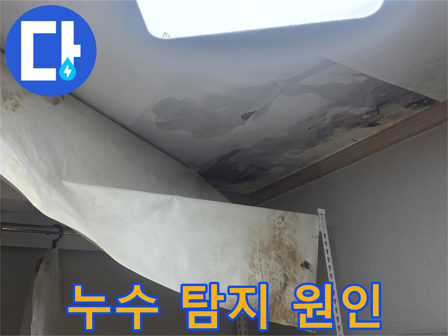 천장 누수로 인해-벽지가 손상되고-곰팡이가 발생한 현장에서-정확한 누수 원인을 탐지 중입니다