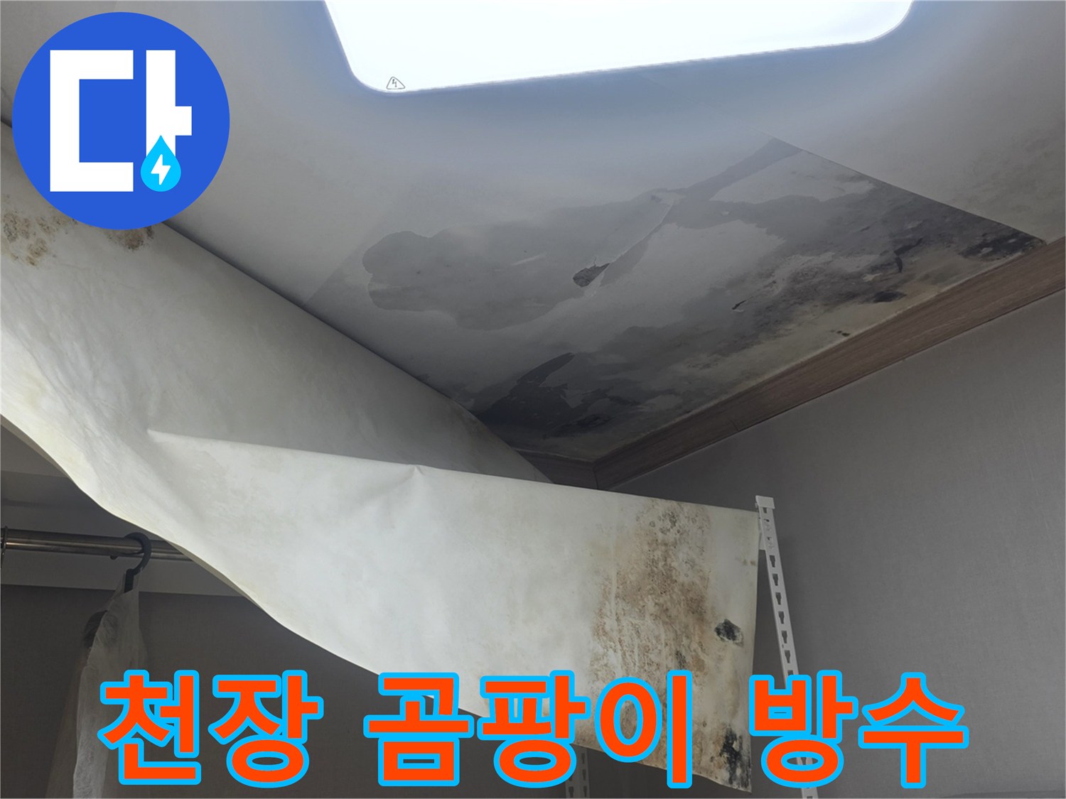 천장 누수로 인해-벽지가 젖고-심한 곰팡이가 발생한-현장을 방수 처리 중입니다