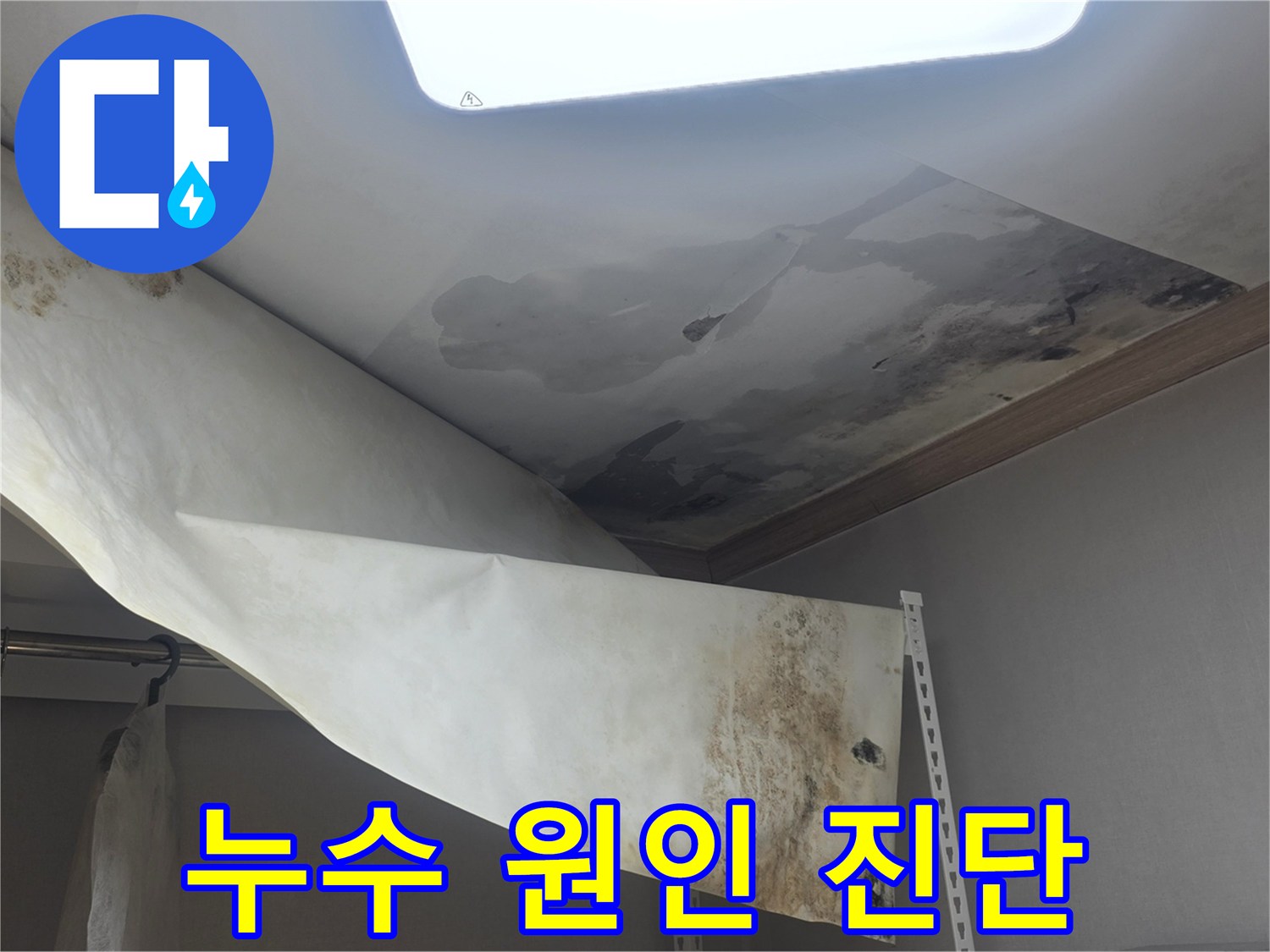 천장 벽지가 물에 젖어-떨어져 내리고-심한 곰팡이가 발생한-누수 현장 사진입니다