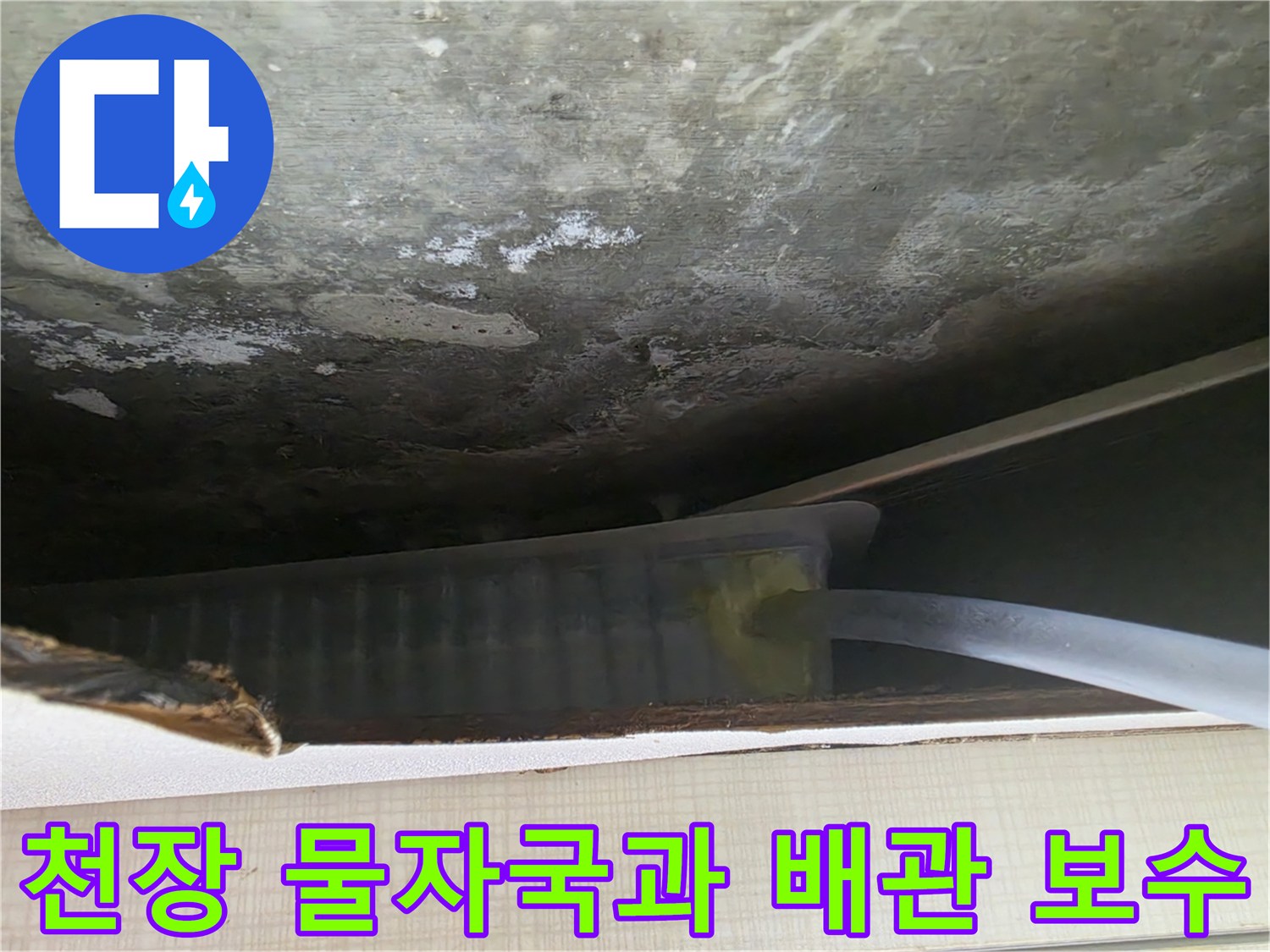 오염된 천장 면-배수 유도를 위한 드레인 호스 설치 작업