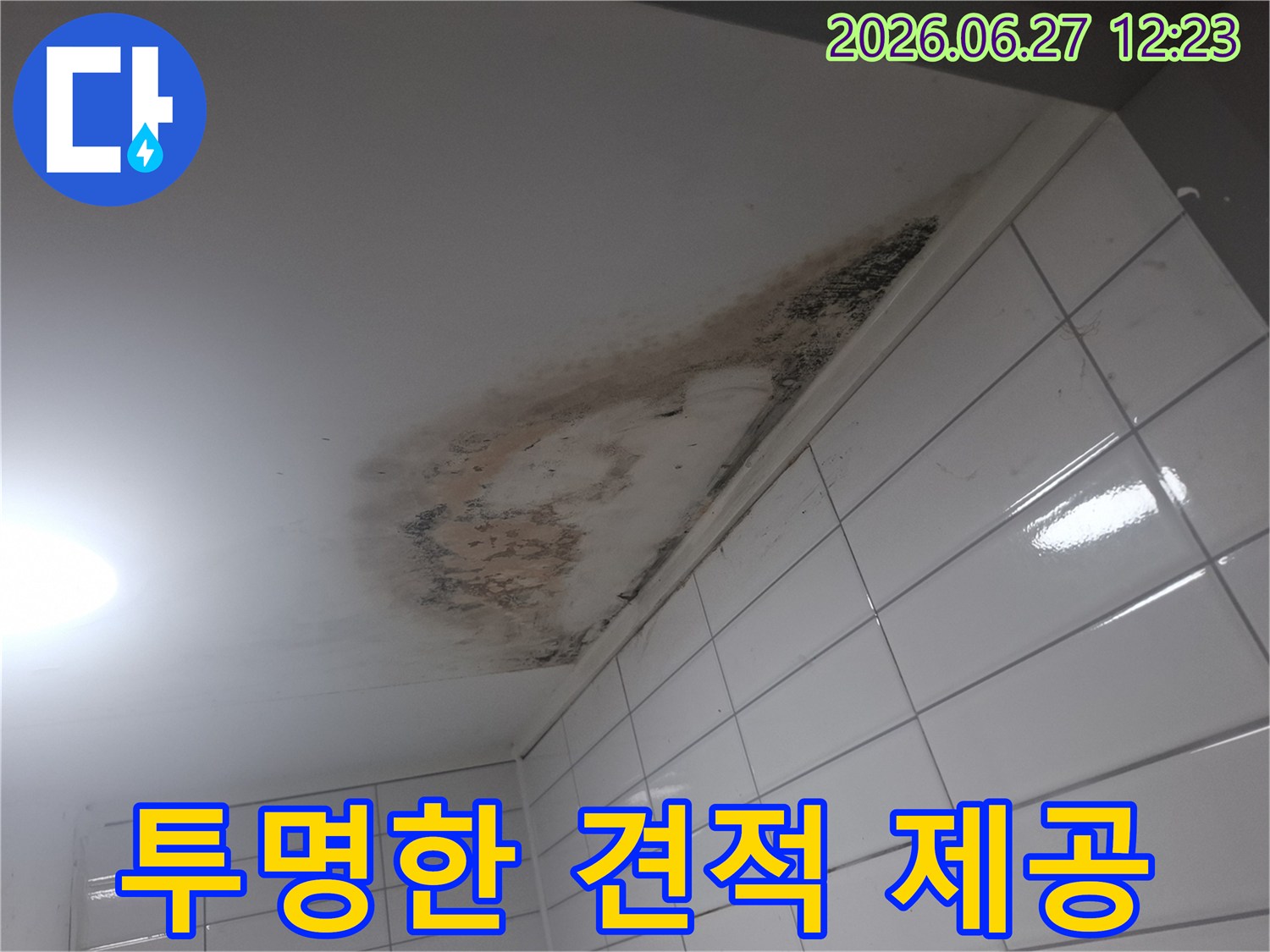 누수-탐지-및-복구-비용에-대한-투명하고-상세한-견적을-고객에게-설명하는-모습