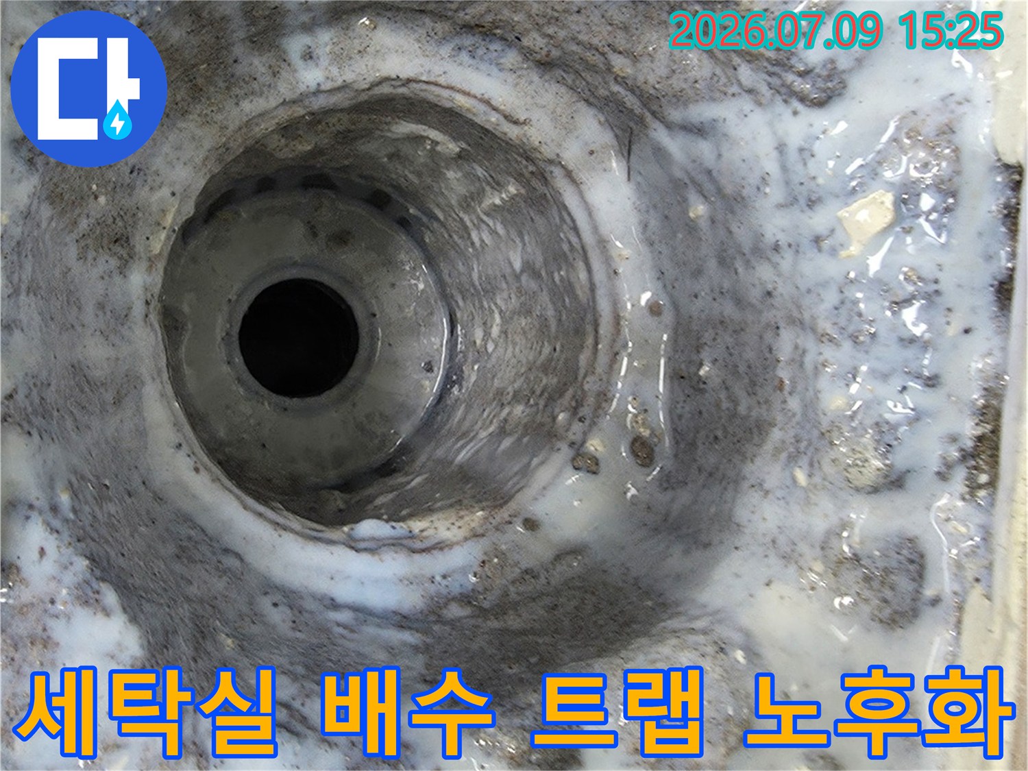 먼지와 오염이 섞인 세탁실 배수구 주변 모습