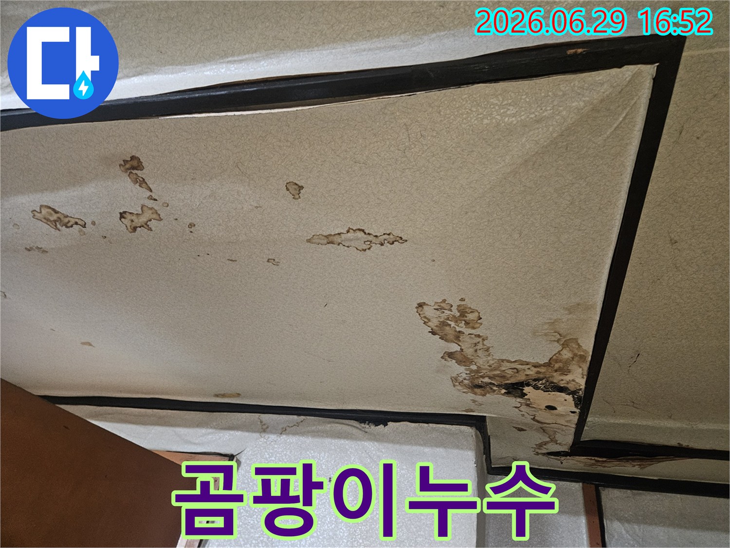 천장-표면에-누수와-함께-곰팡이가-발생하기-시작한-상태를-보여줍니다.