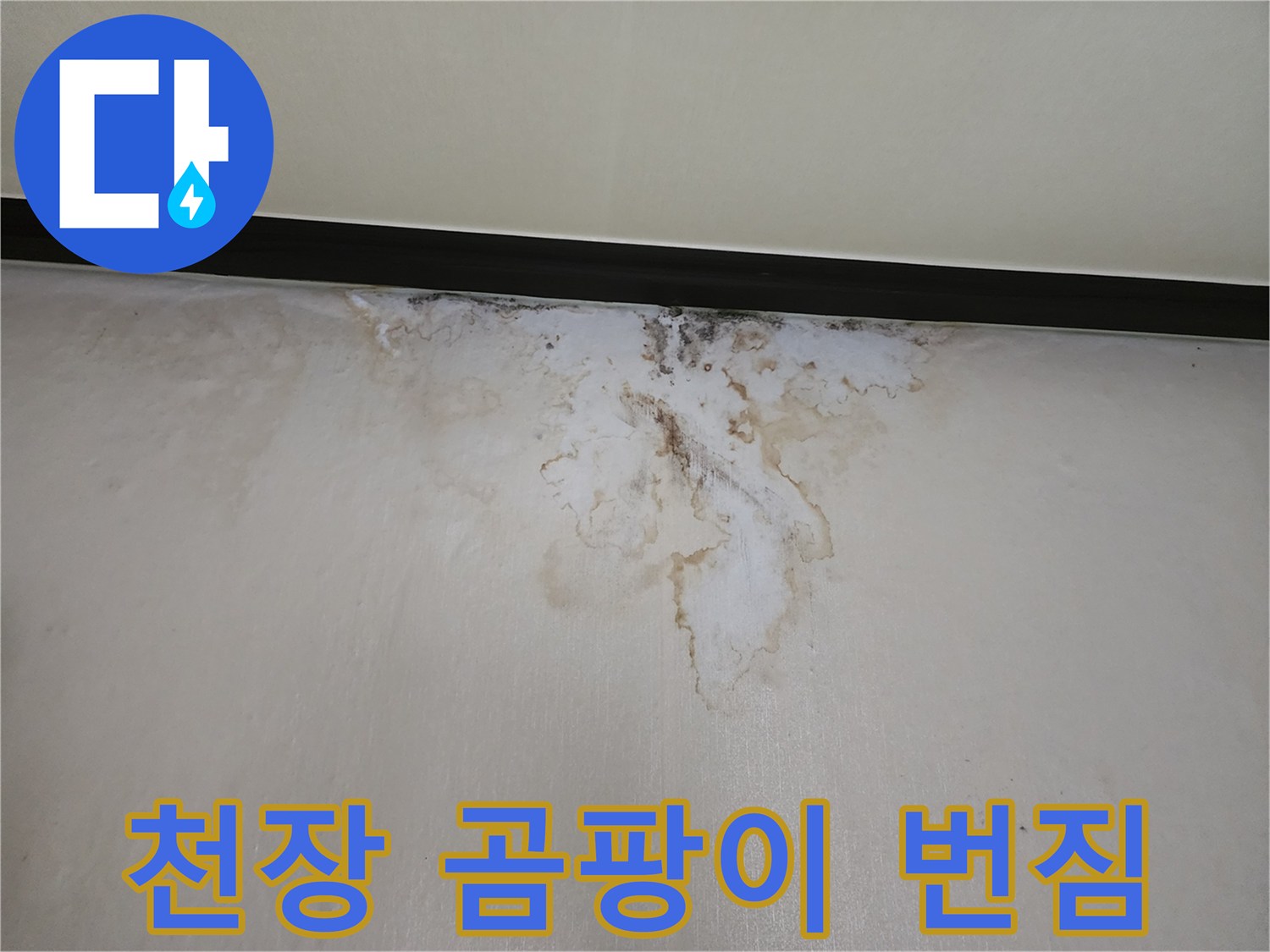 벽지 표면-누수로 인해 발생한 곰팡이와 얼룩