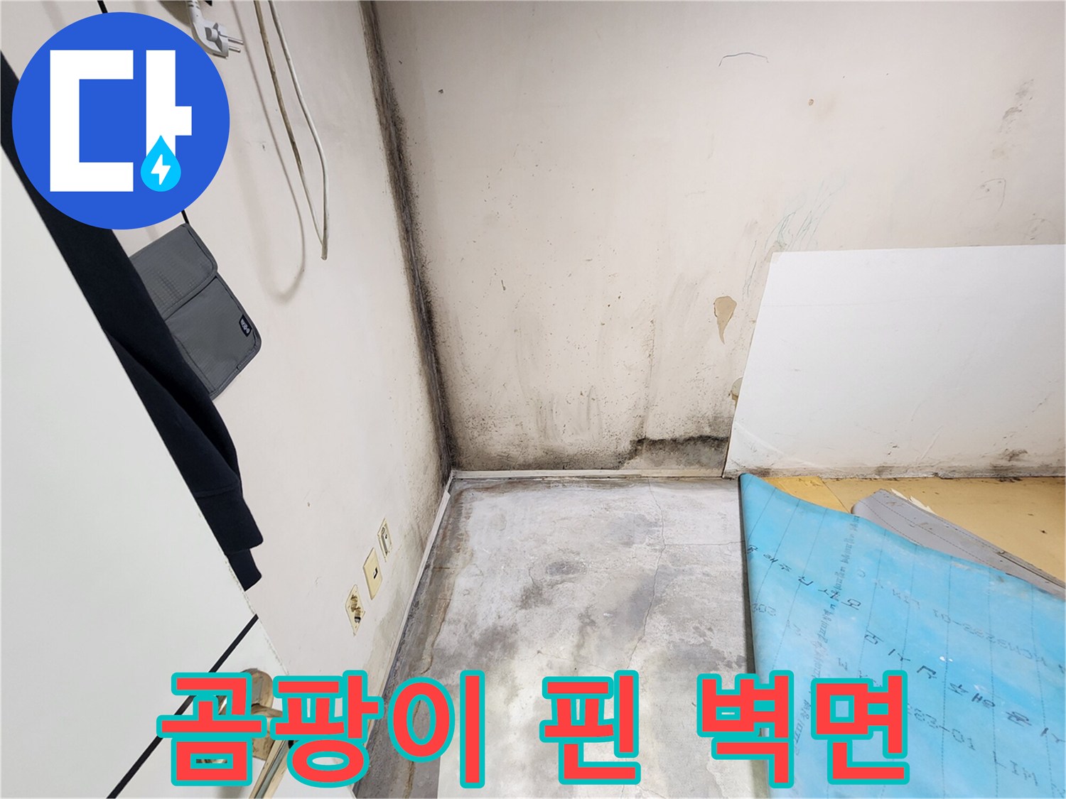 심한 곰팡이가-발생한 벽면 아래쪽 부위
