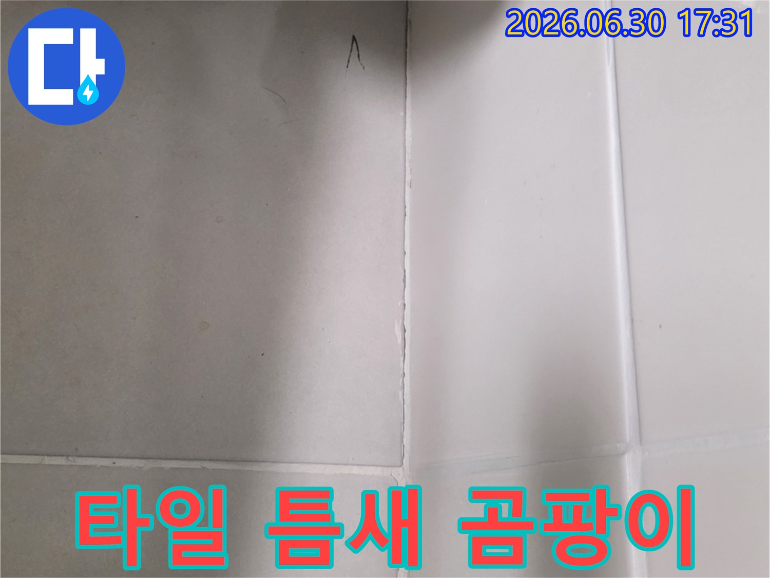 욕실-타일-줄눈-틈새에-발생한-검은색-곰팡이를-확대하여-물이-지속적으로-스며들고-있음을-보여줍니다.