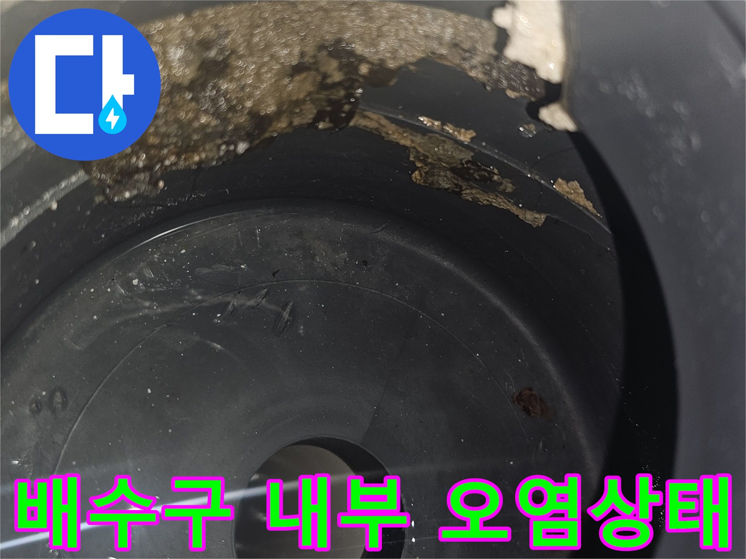화장실-배수구-내부의-이물질과-오염된-상태를-보여주는-사진