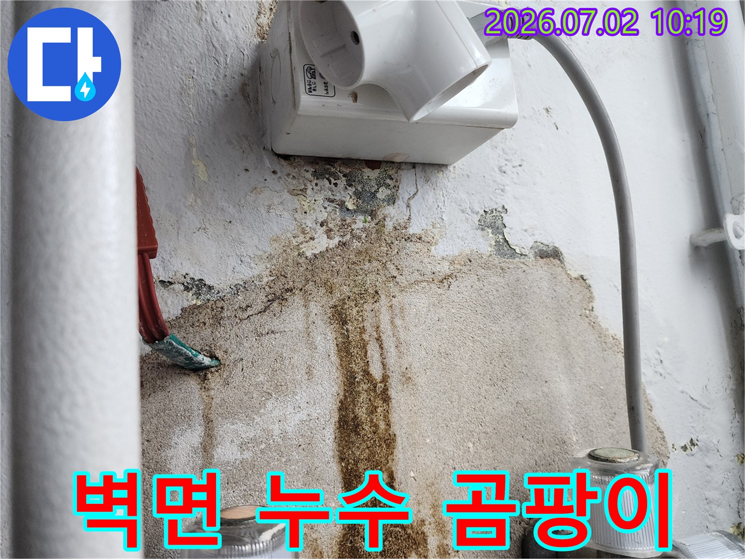 벽면-누수로-인한-곰팡이와-물자국-발견-전기-콘센트-주변-피해