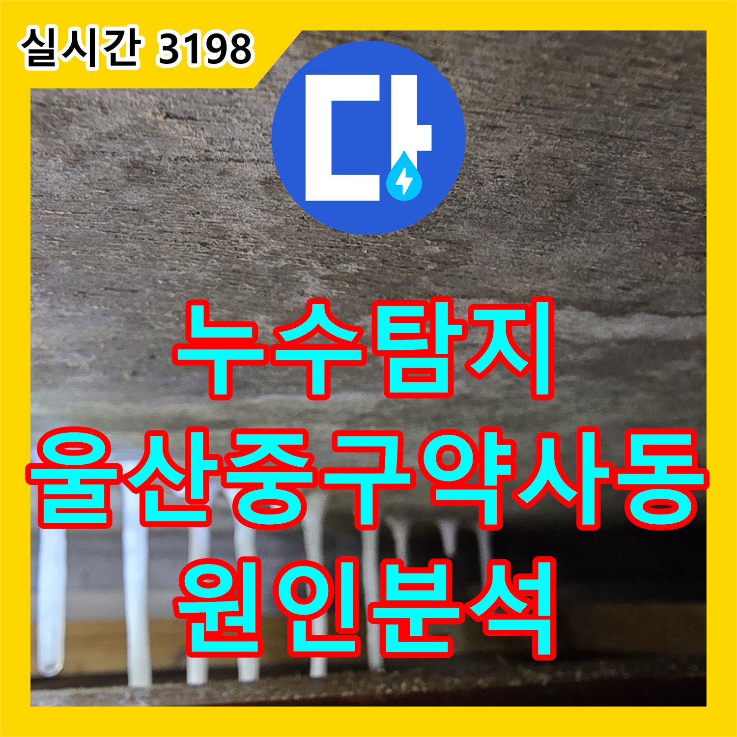 누수탐지 아랫집 안방 천장 백화 현상과 지속적인 누수 원인을 정밀하게 분석한 울산광역시 중구 약사동 사례