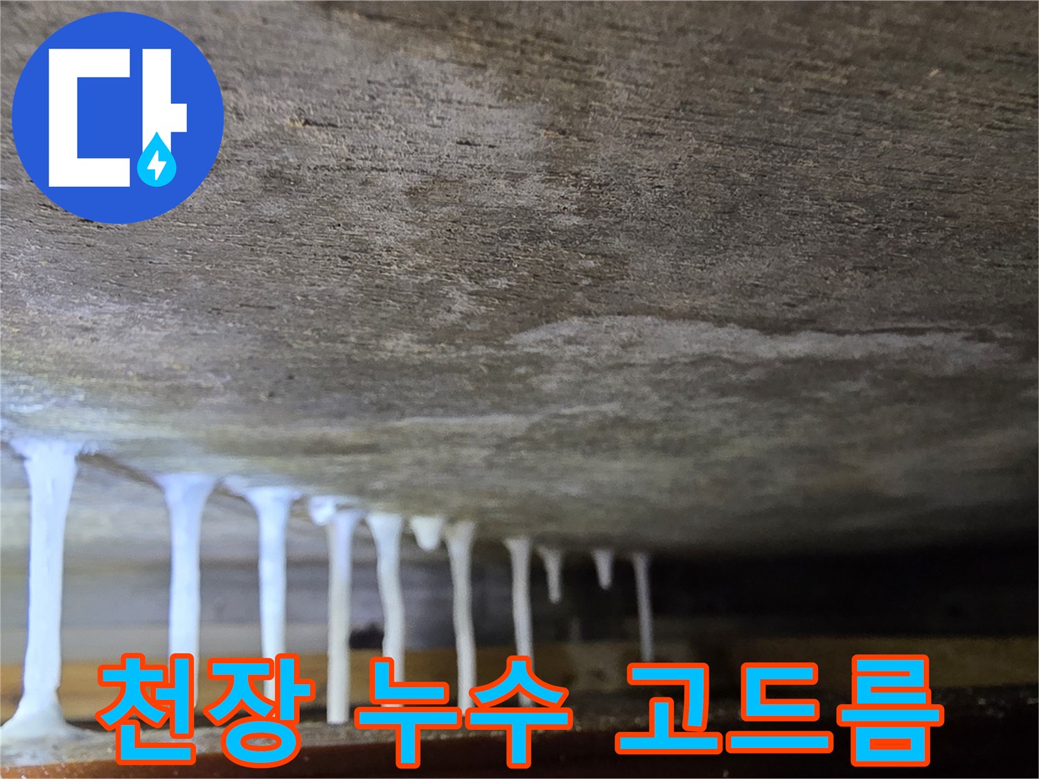 천장 콘크리트 면에서 떨어지는 석회물 고드름