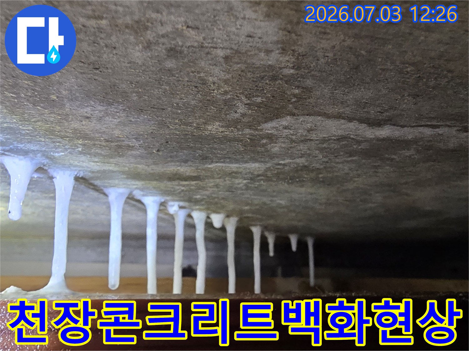 천장 콘크리트에서 흘러내린 백화 현상과 고드름 형태의 석회질 증거