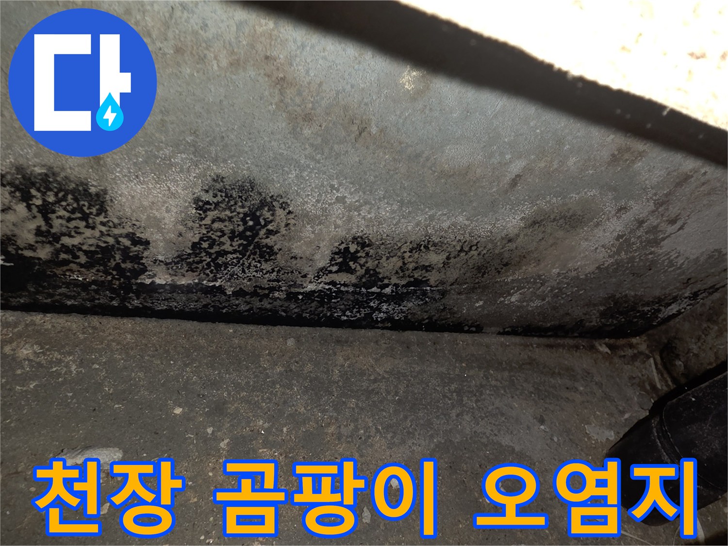 배관-누수로-인해-발생한-천장-곰팡이-및-얼룩