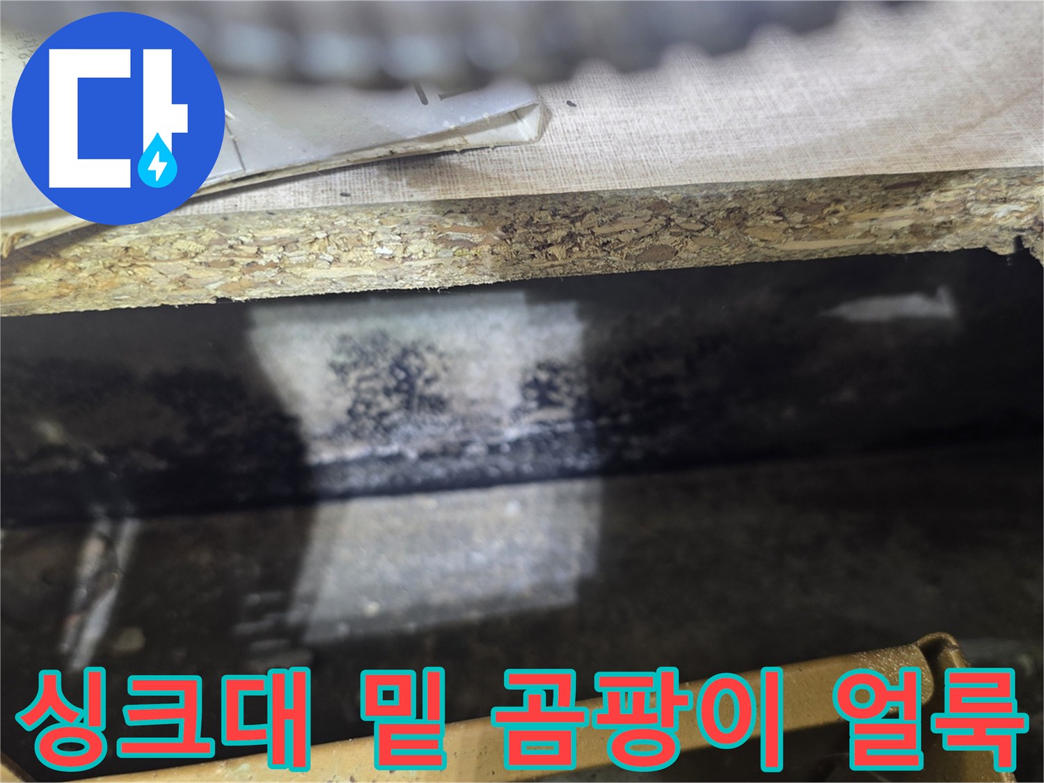 배관-주변의-젖은-흔적과-곰팡이-발생-상황