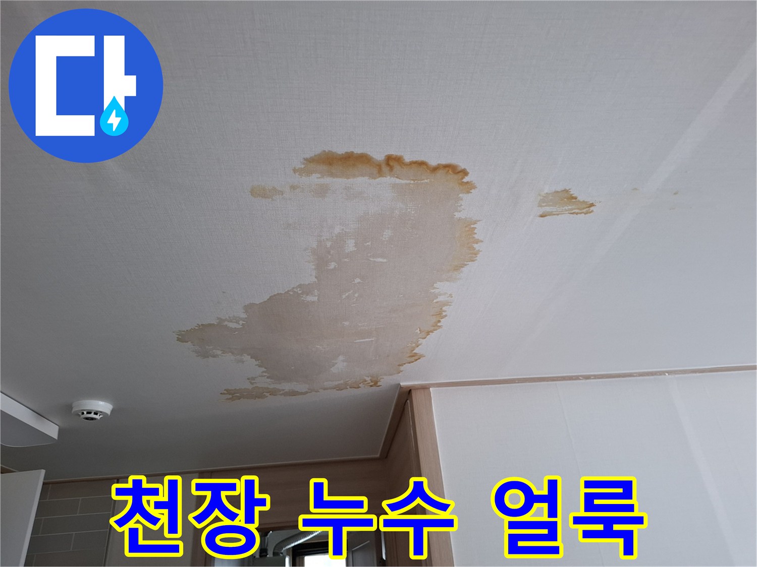 천장에 발생한 갈색 누수 흔적과 오염 상태