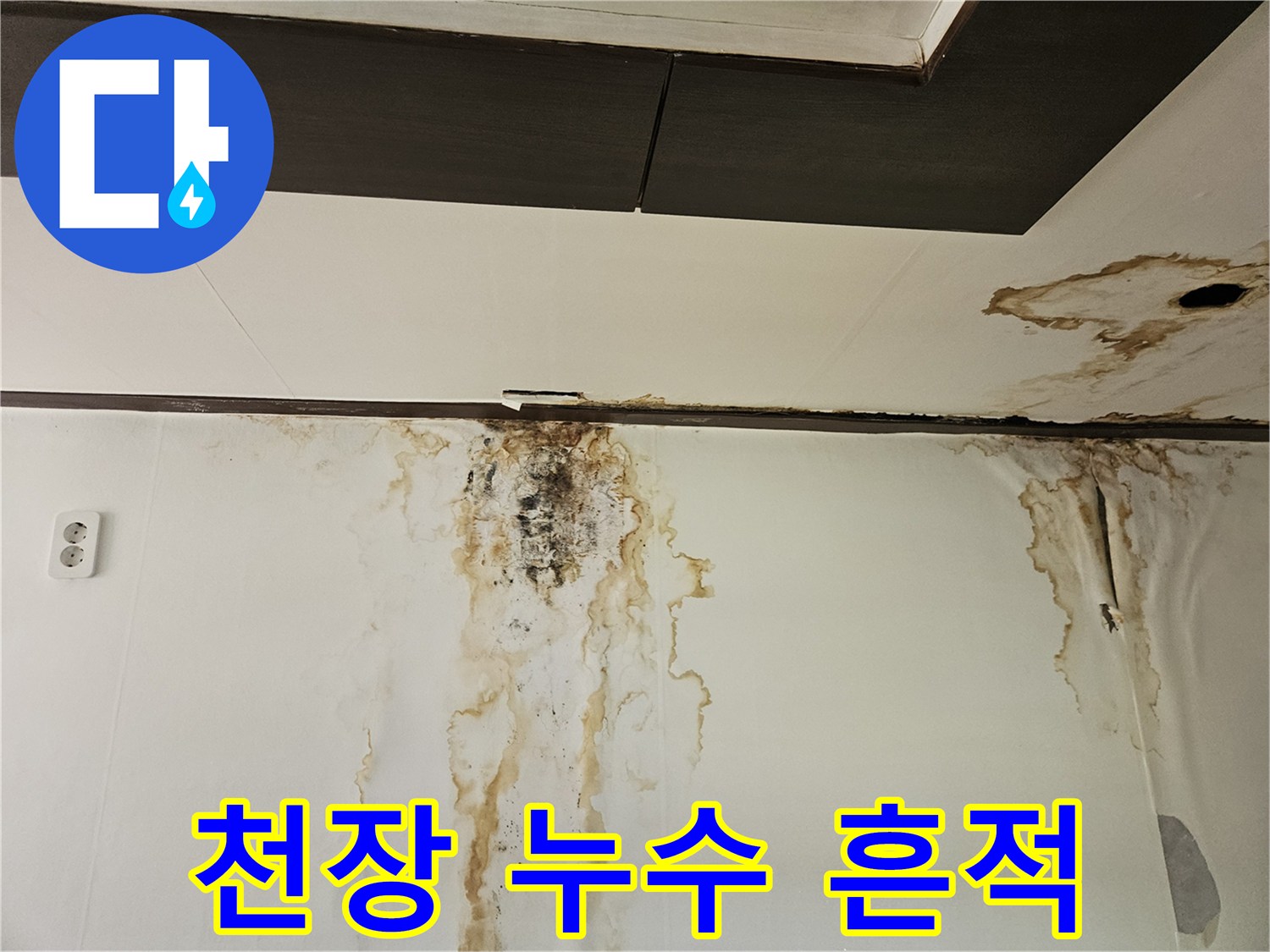 아래층-거주지-천장과-벽면의-심한-누수-및-곰팡이-오염
