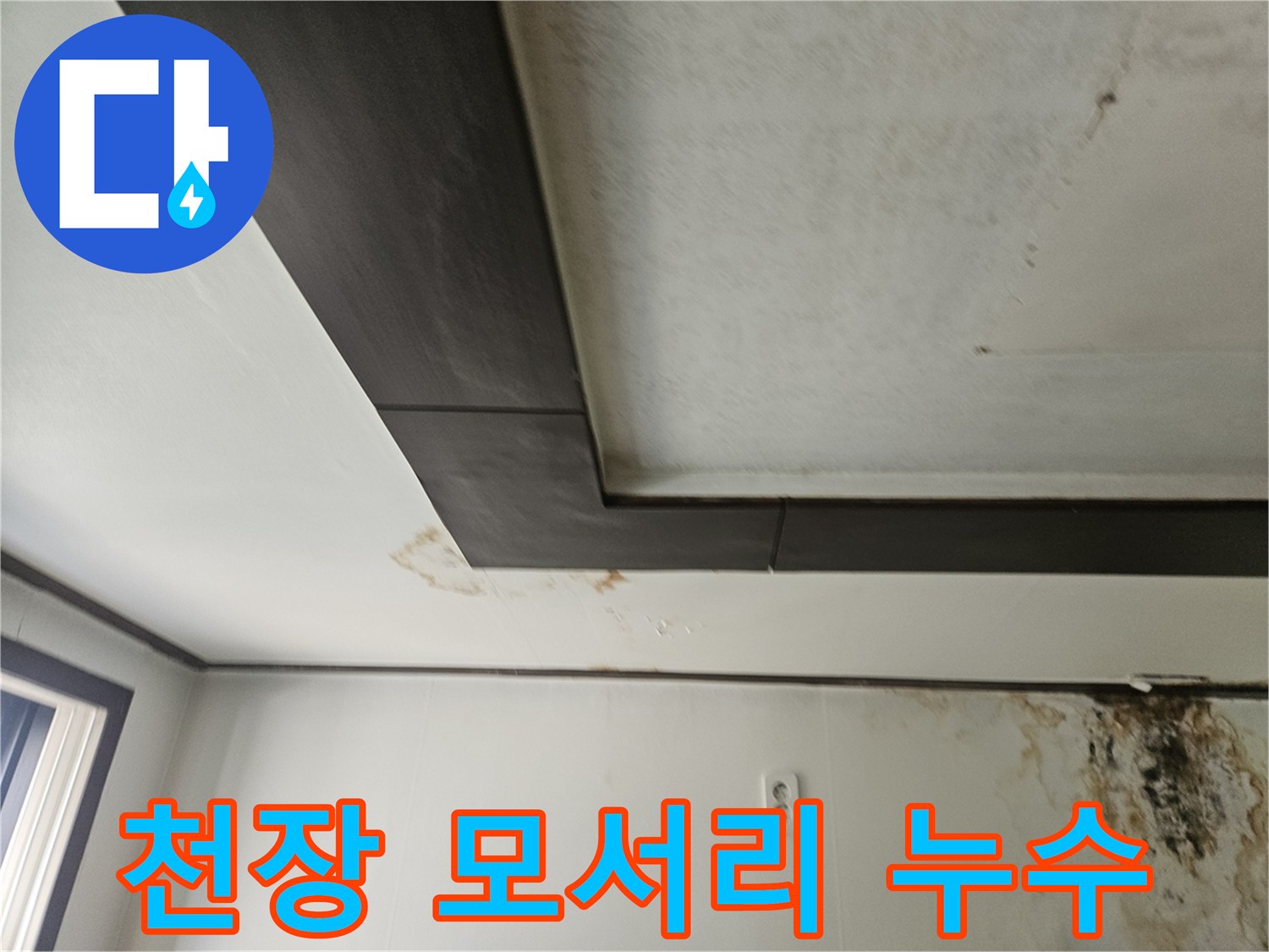 아래층 천장 몰딩-갈색 물 얼룩과 검은 곰팡이 부위