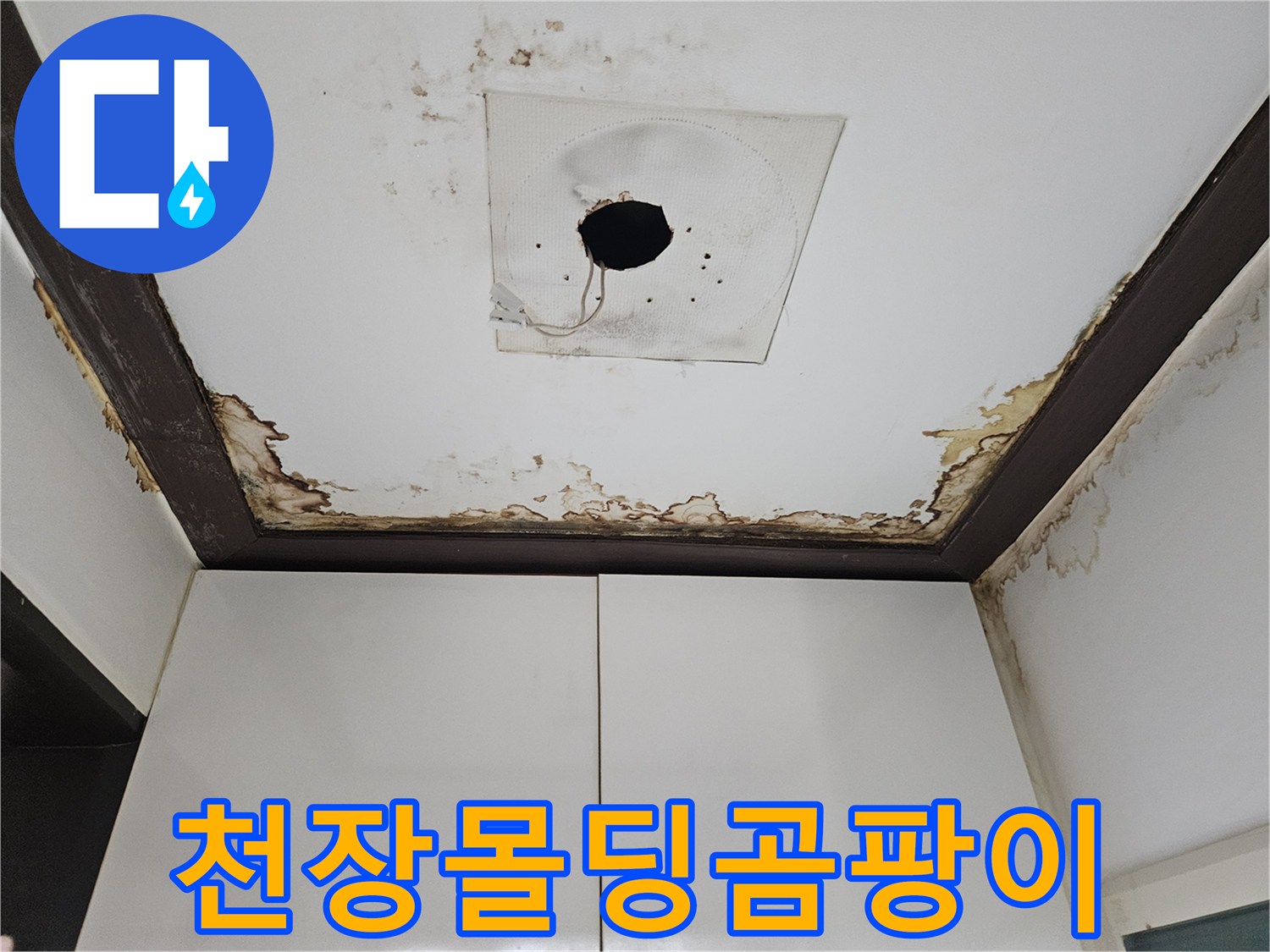 아래층-천장-몰딩-주변의-심한-곰팡이와-오염된-벽면