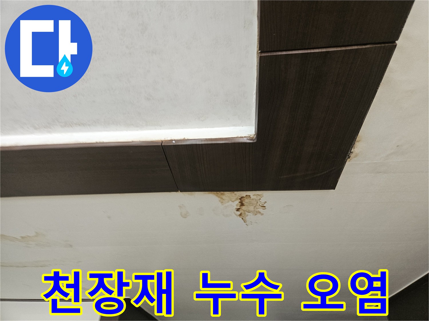 천장 마감재에 나타난 곰팡이와 물스밈 흔적