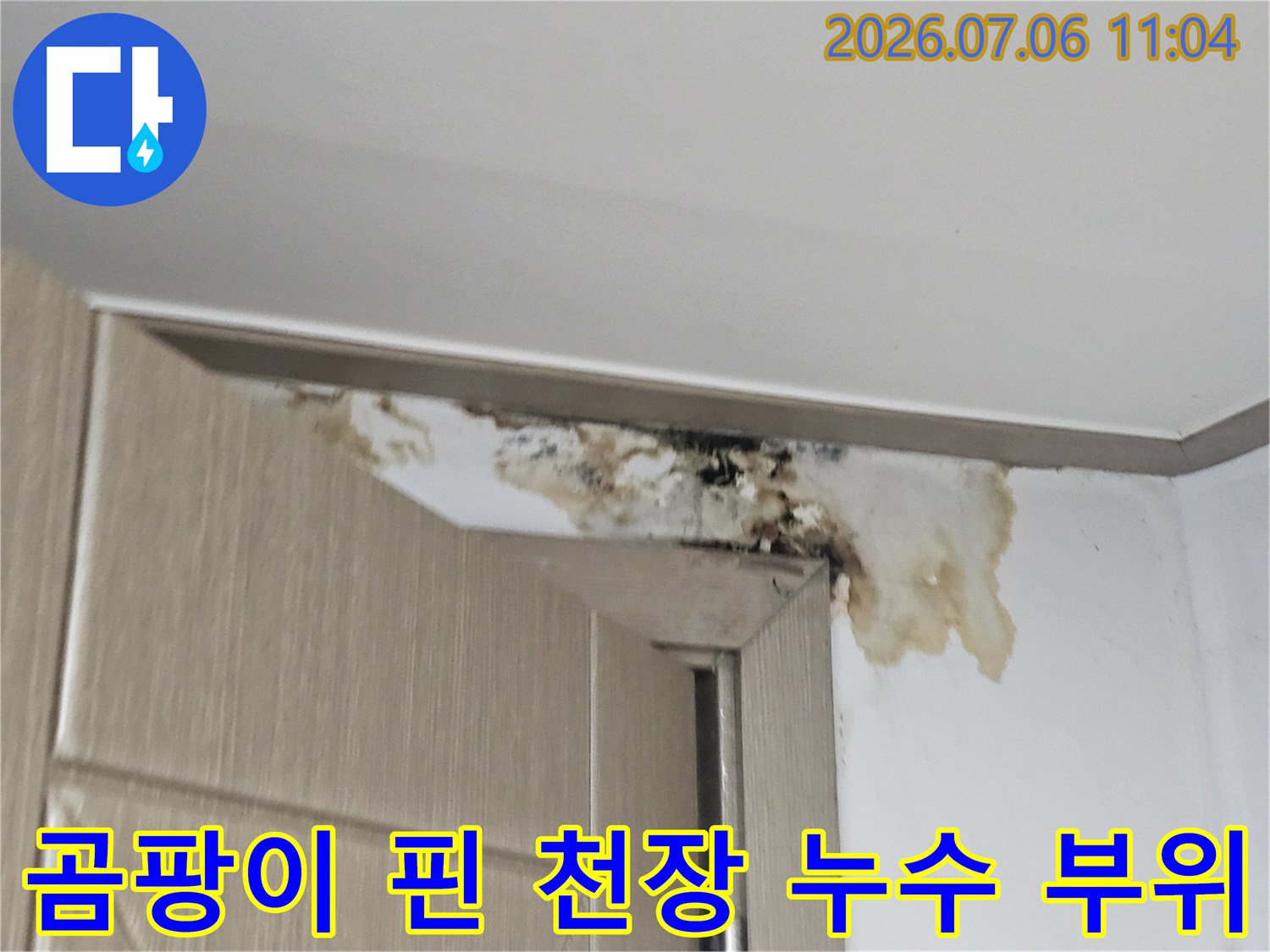 천장과 벽체가 만나는 지점에 발생한 습기로 인한 곰팡이 오염