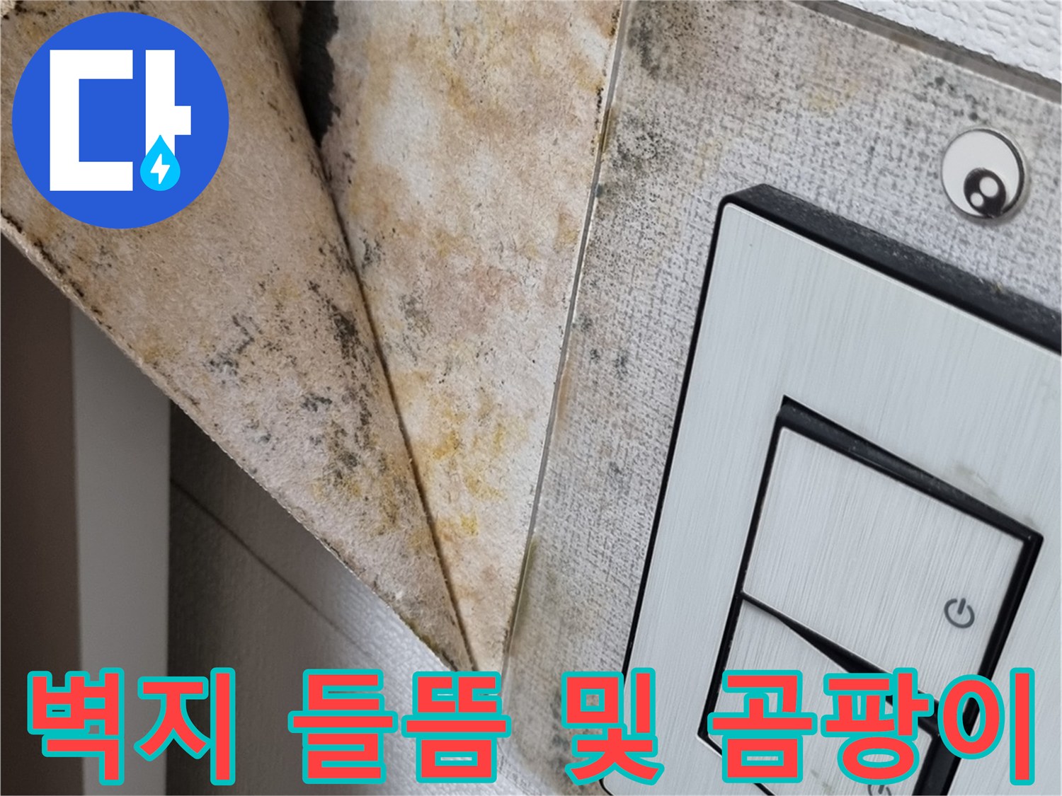 천장 전기 스위치 주변의 젖은 벽지와 곰팡이 오염