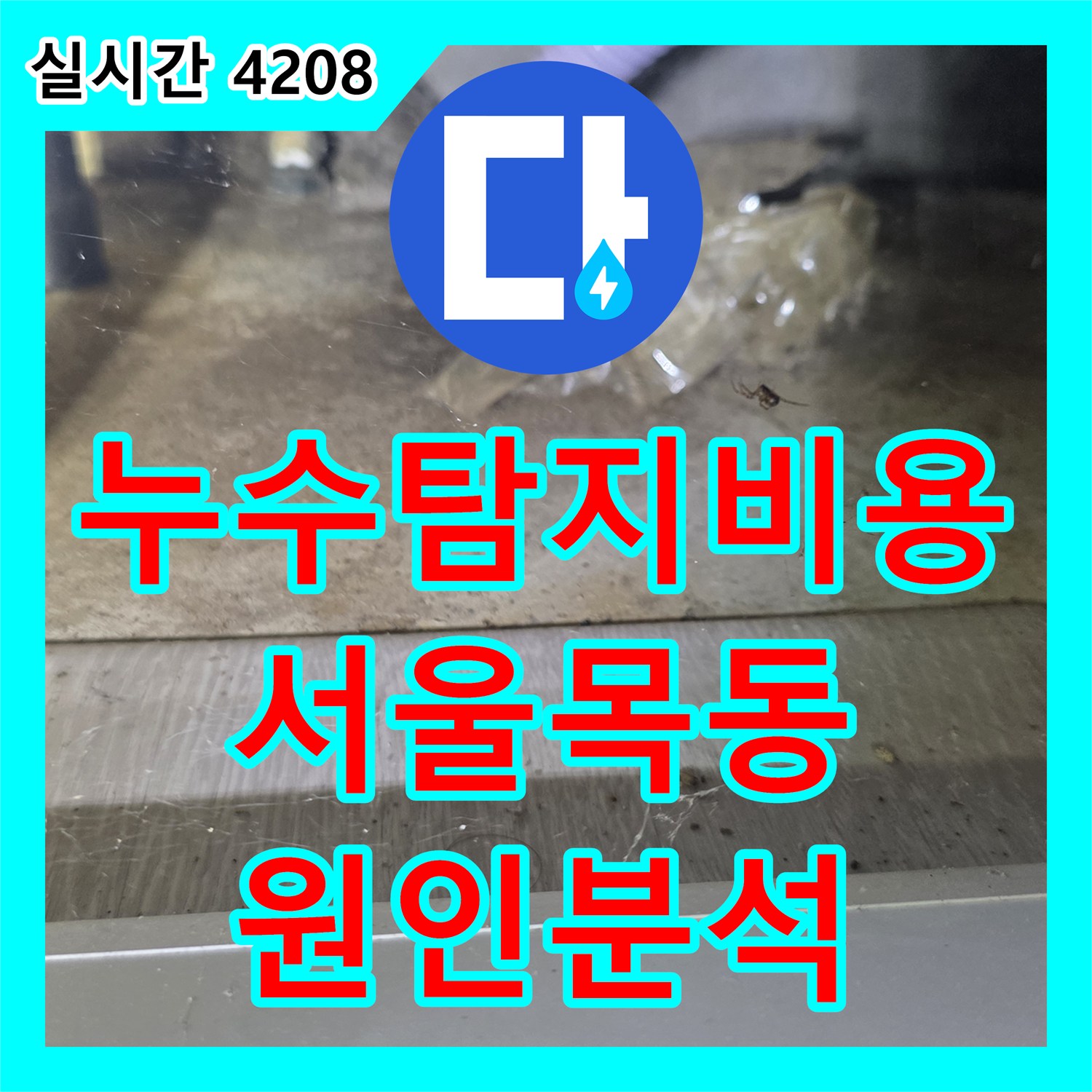 누수탐지비용 안내 후 진행한 서울 양천구 목동 빌라 지하 천장 하수 메인관 누수 진단 및 보수