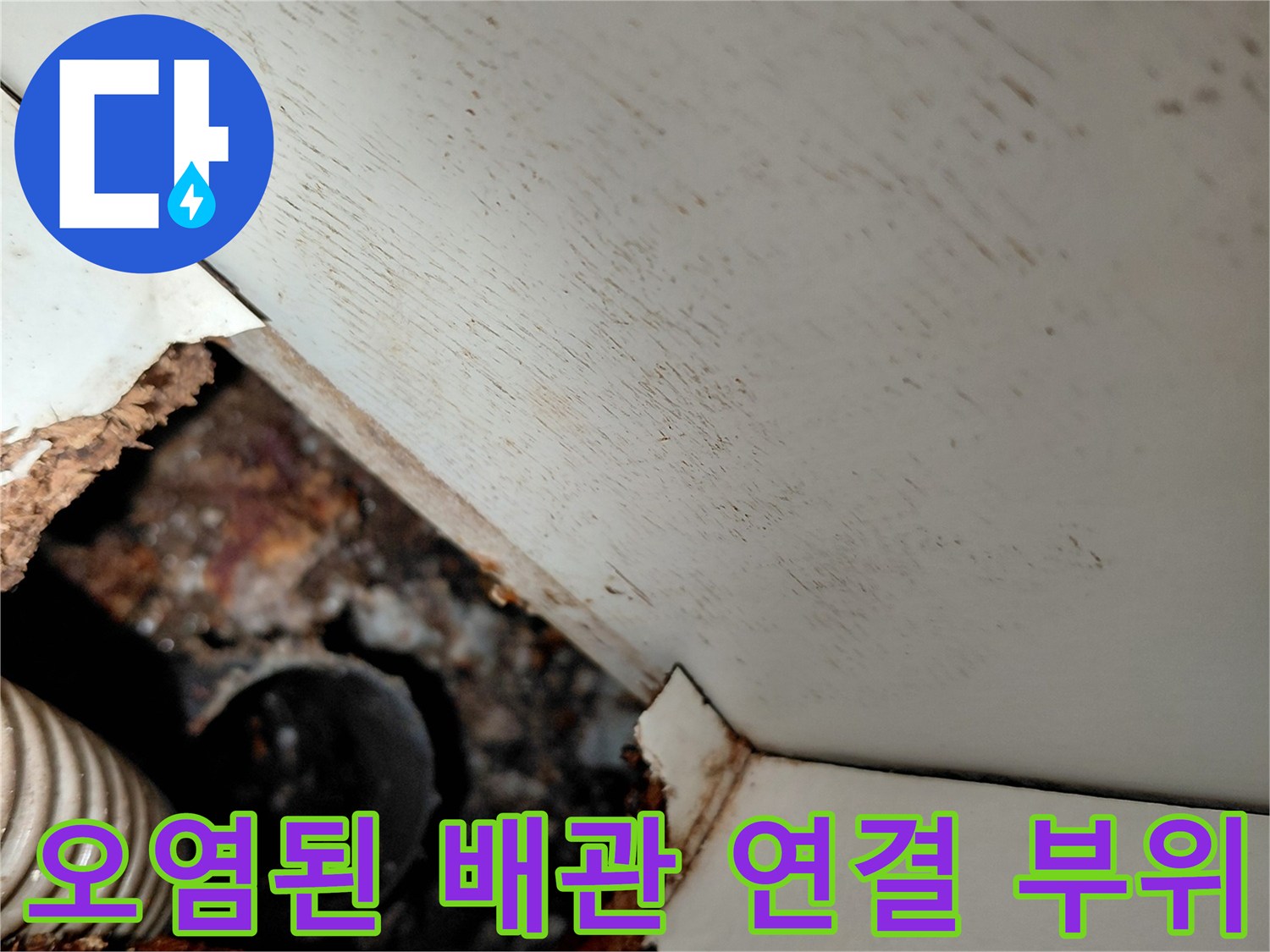 이물질과 슬러지로 오염되어 역류가 발생한 하수구 배관