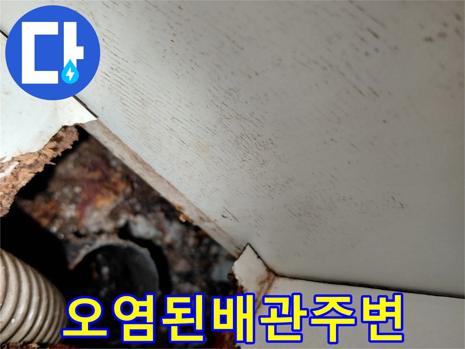 하수구-역류로-인해-오염된-싱크대-하단-배관-상태