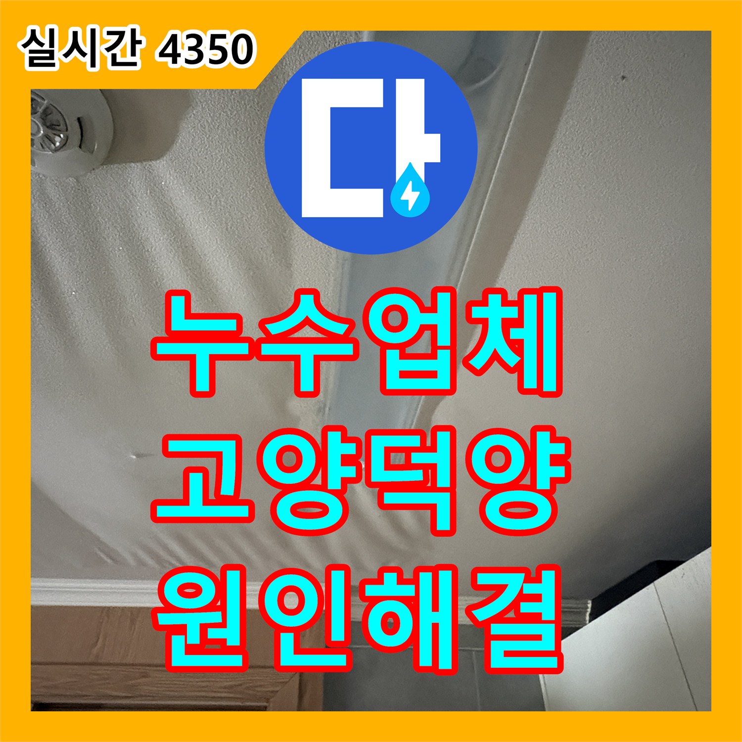 누수업체 주방 천장 누수로 인한 벽지 손상을 배수관 보수와 석션으로 해결한 고양시 덕양구 화정동
