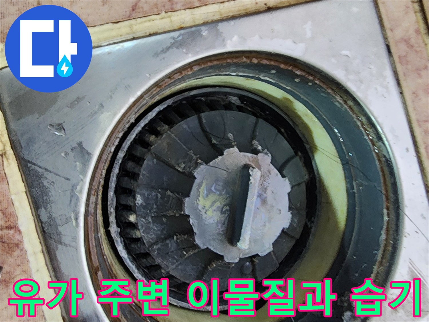 배수구 유가 내부 - 오염된 슬러지와 물기가 보이는 배수구 모습입니다.