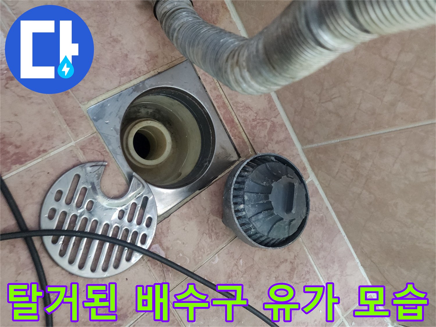 용인 처인구 현장의-화장실 배수구 주변 점검 사진