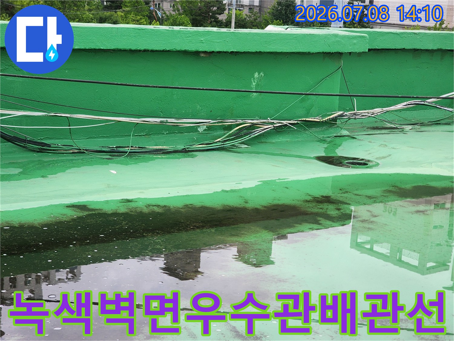 초록색 벽면에 설치된 우수관과 복잡하게 얽힌 배관 및 전선들