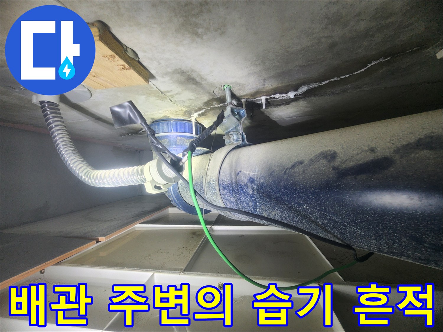 천장 내부 파란색 배관과 젖은 슬라브의 모습