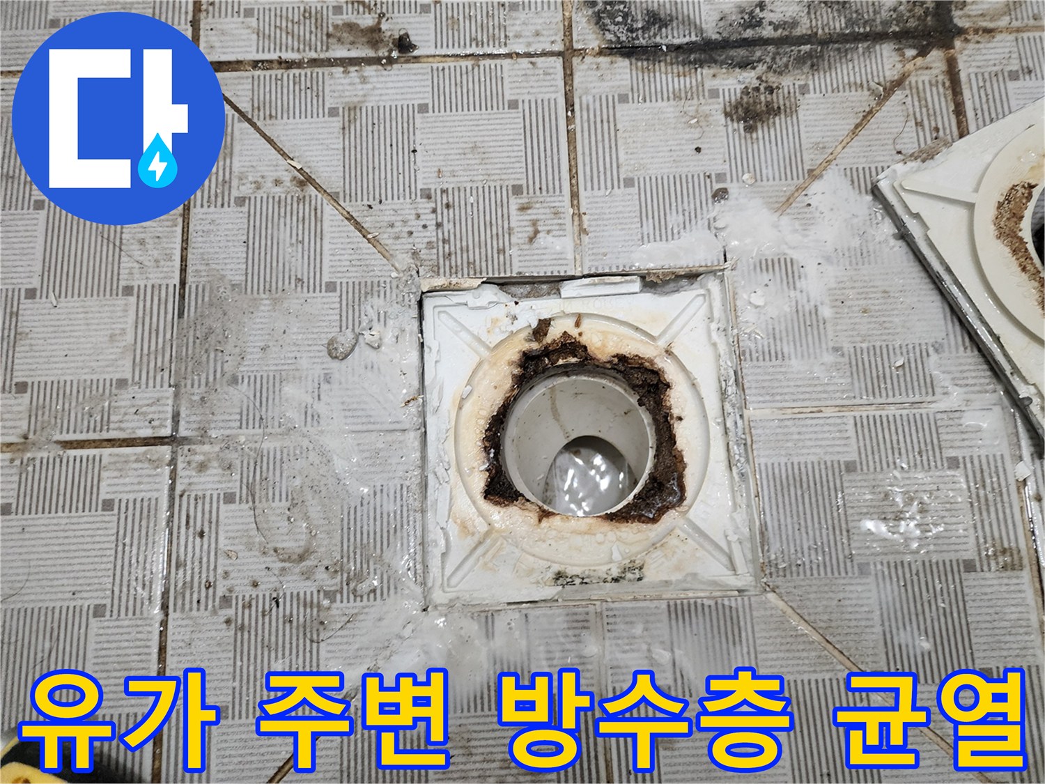 배수관-입구-주변의-심한-이물질-및-방수층-균열-상태