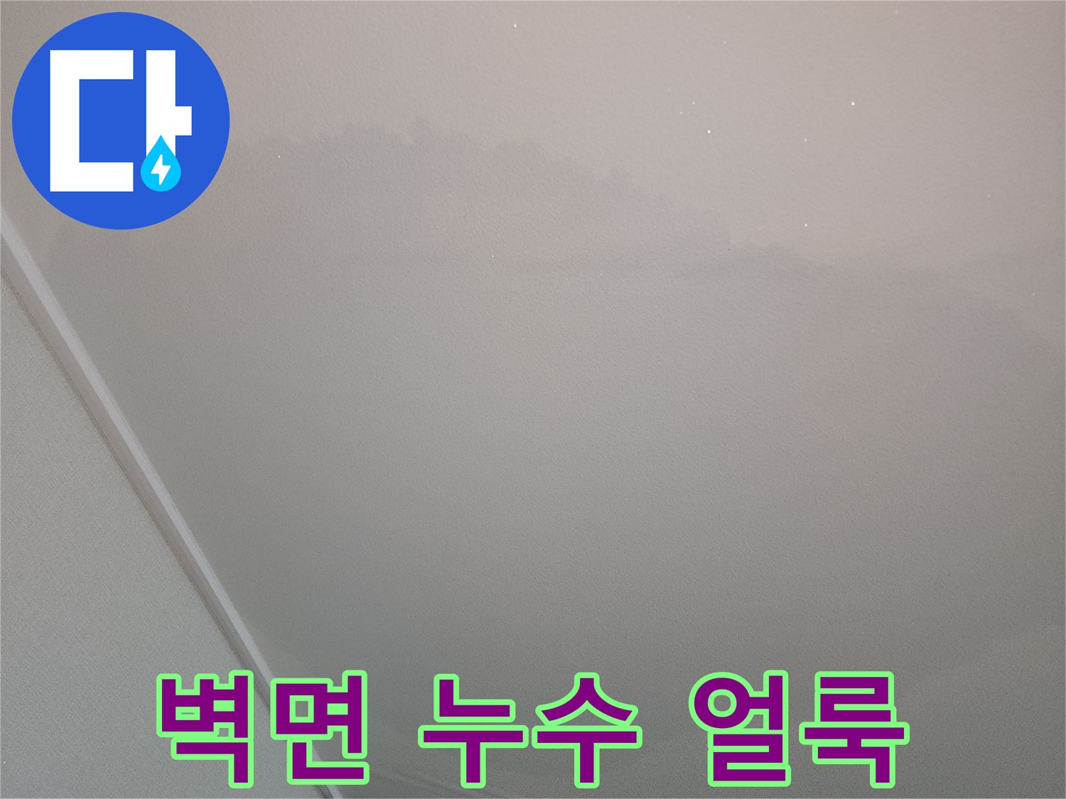 벽지 곳곳에 퍼진 젖은 물자국 사진