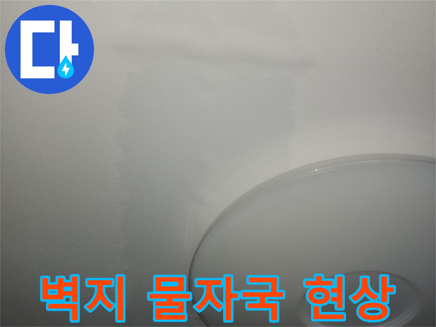 천장 조명 주변으로 번진 젖은 벽지 상태